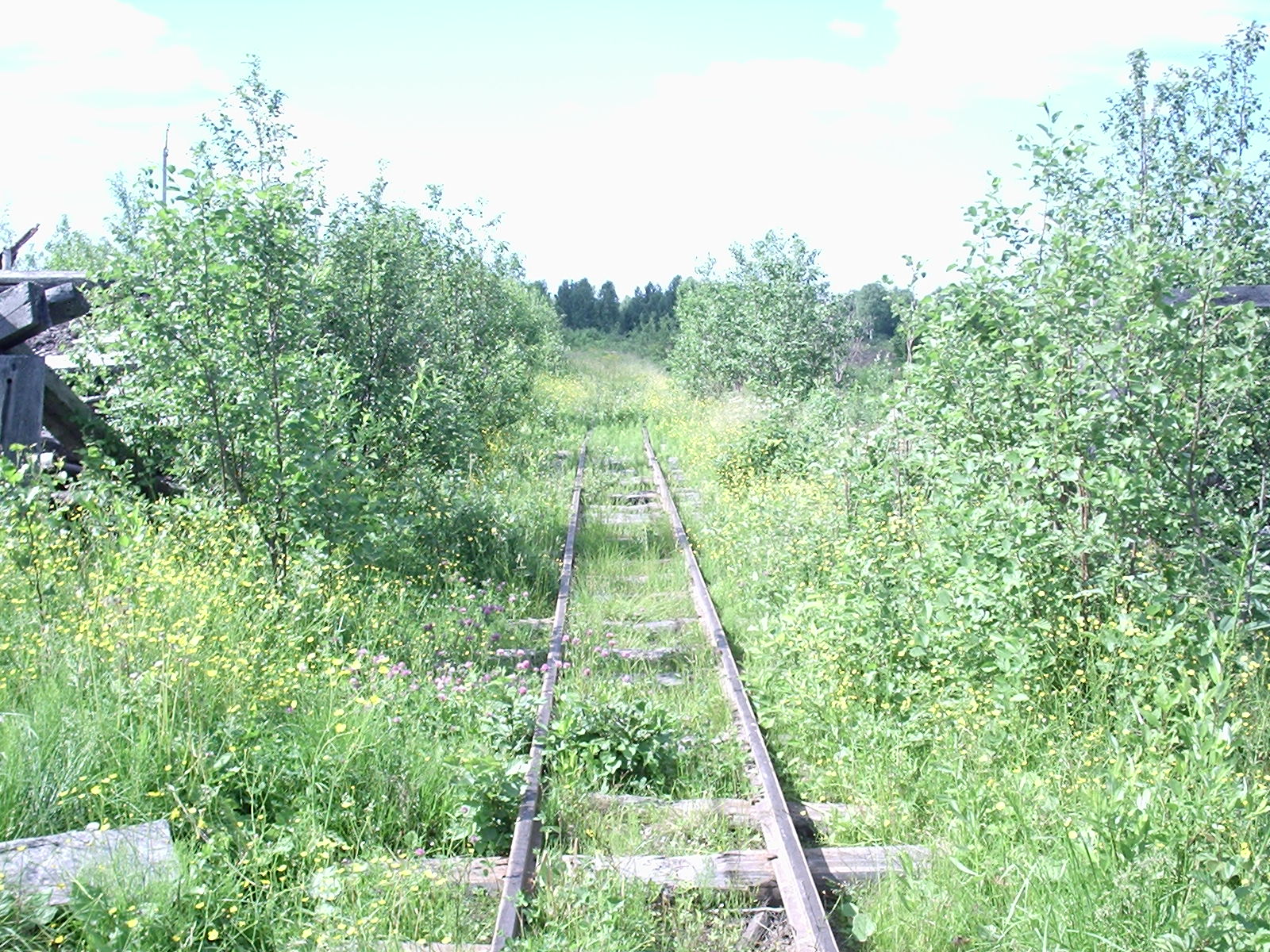 Кодинская узкоколейная железная дорога - фотографии  (часть 8)