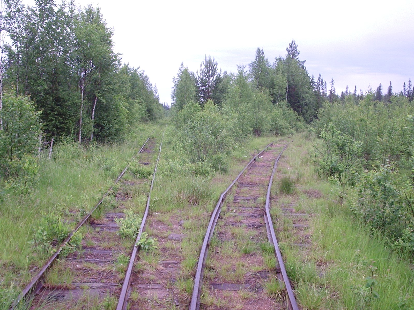 Кодинская узкоколейная железная дорога - фотографии  (часть 9)
