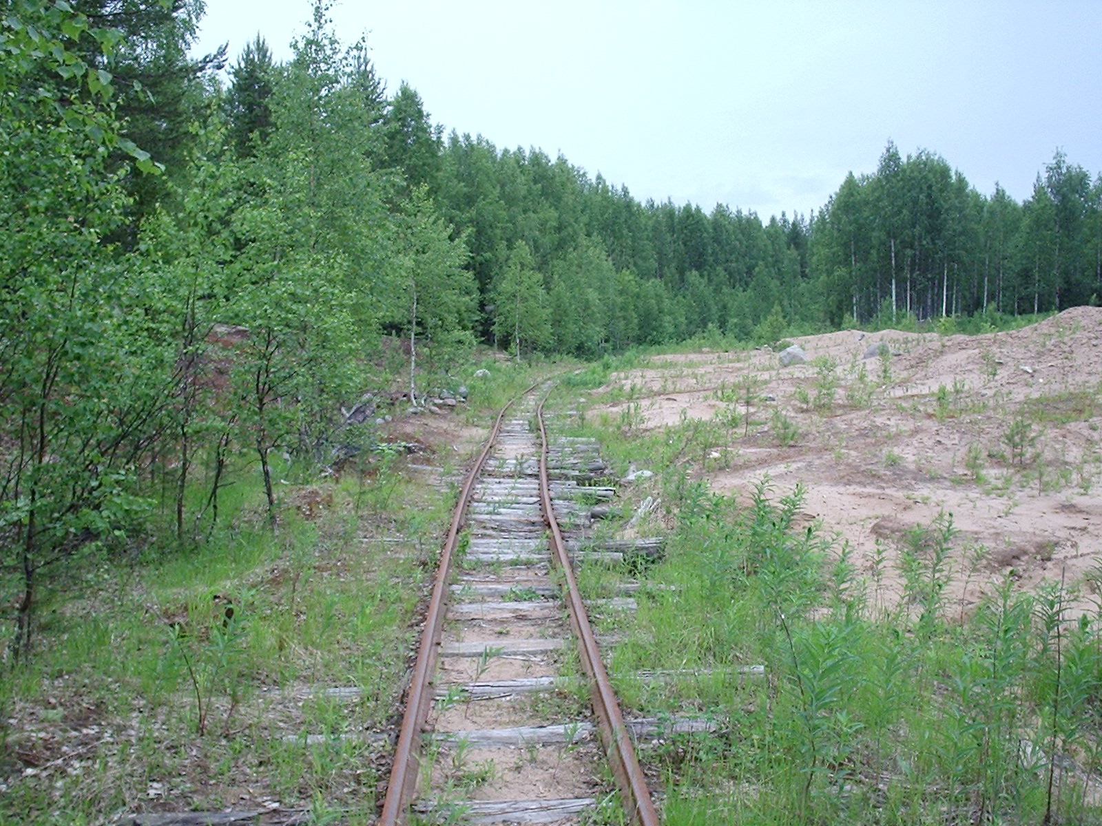 Кодинская узкоколейная железная дорога - фотографии  (часть 11)