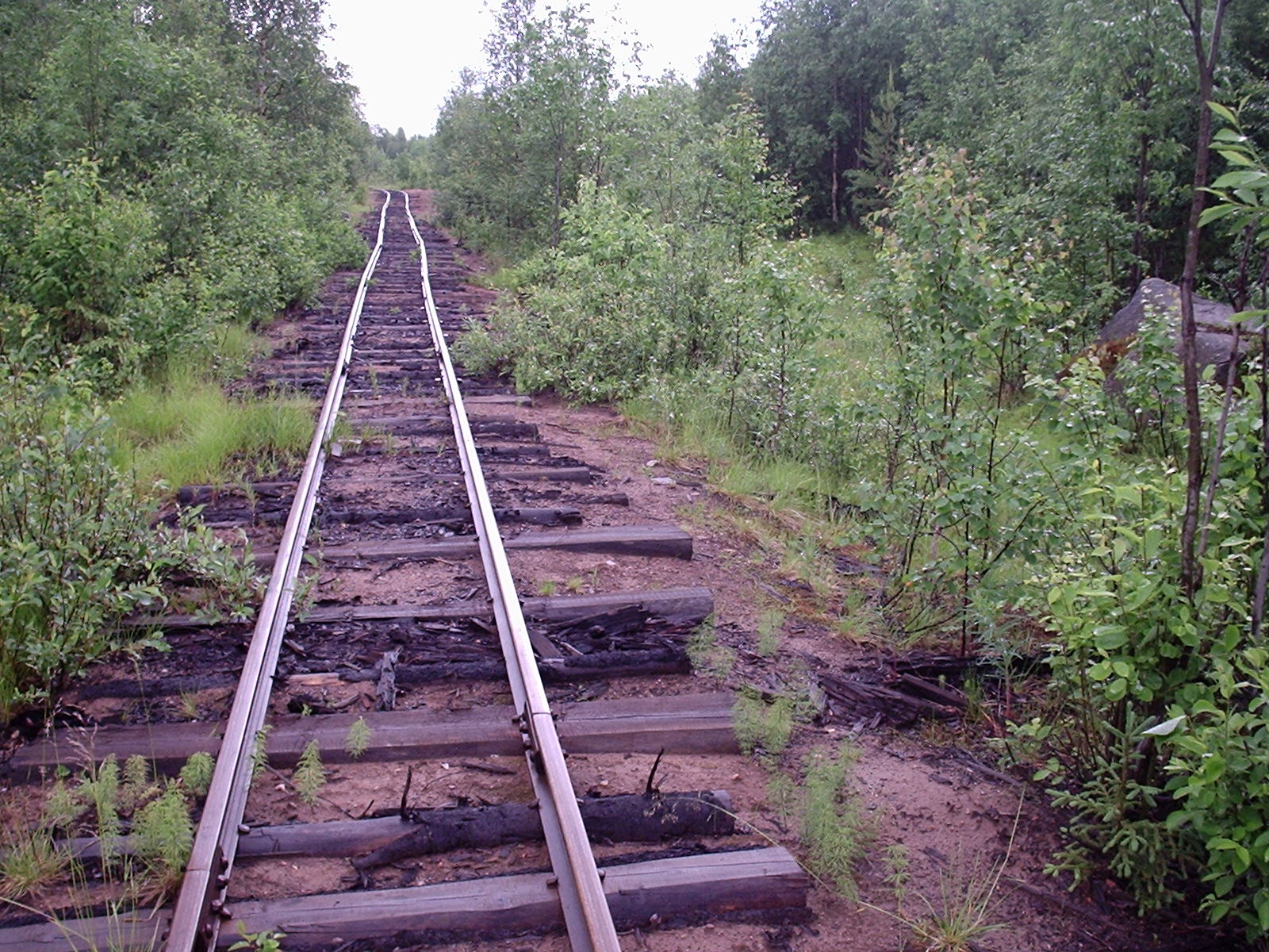 Малошуйская узкоколейная железная дорога - фотографии, сделанные в 2006 году (часть 8)