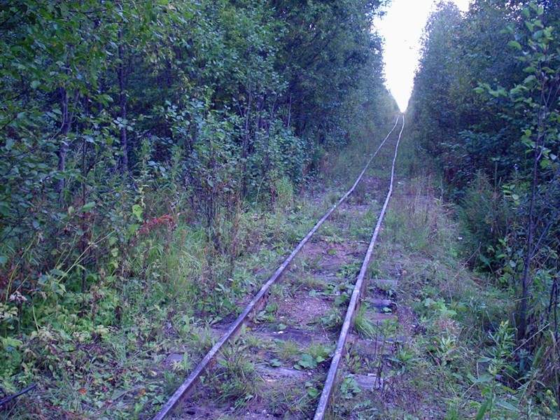 Удимская узкоколейная железная дорога - фотографии (часть 7)