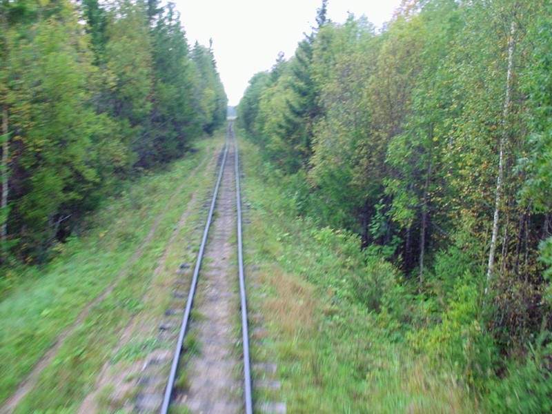 Удимская узкоколейная железная дорога - фотографии (часть 2)