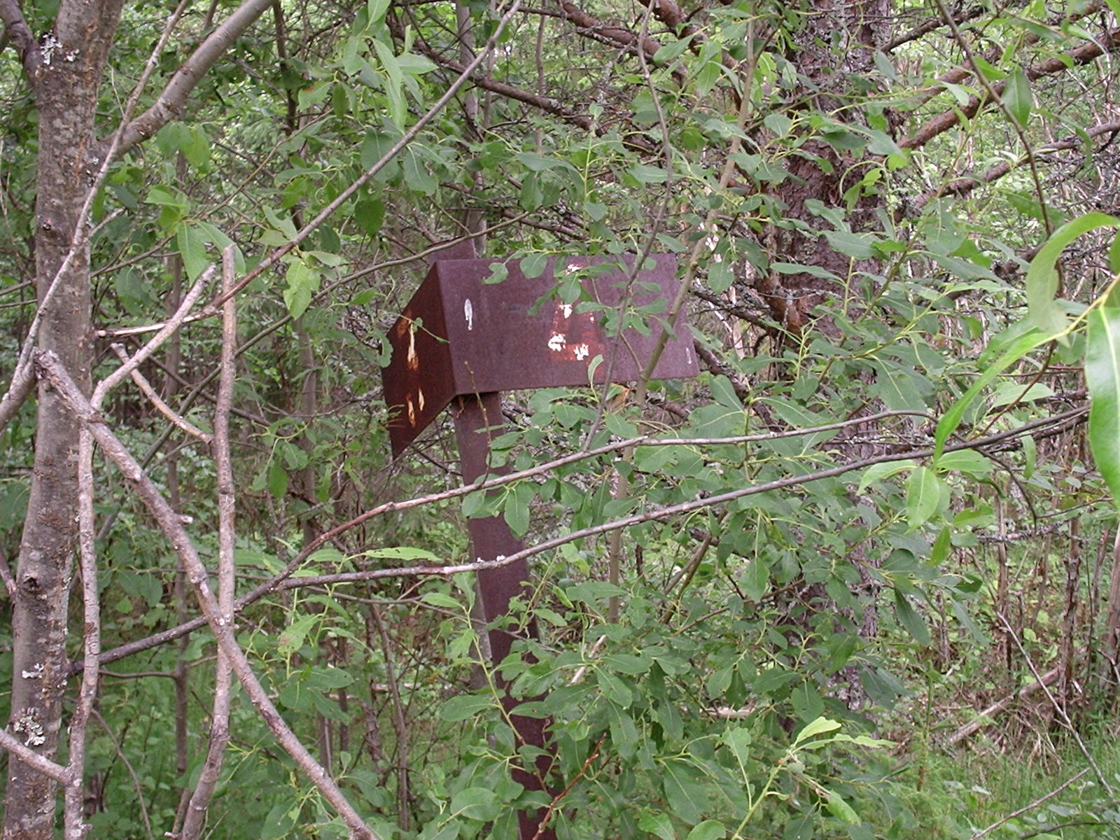Усть-Ваеньгская узкоколейная железная дорога — фотографии, сделанные в 2005 году (часть 4)
