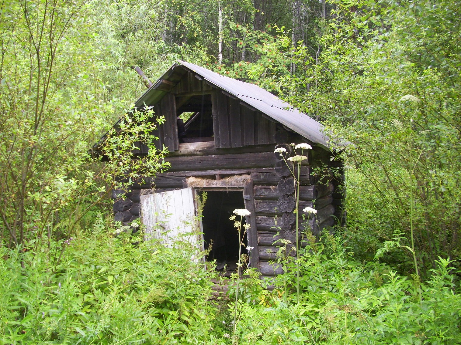 Шортюгская железная дорога
  —  фотографии, сделанные в 2012 году (часть 6)