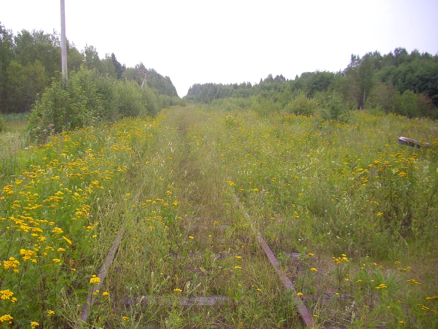 Шортюгская железная дорога
  —  фотографии, сделанные в 2012 году (часть 2)