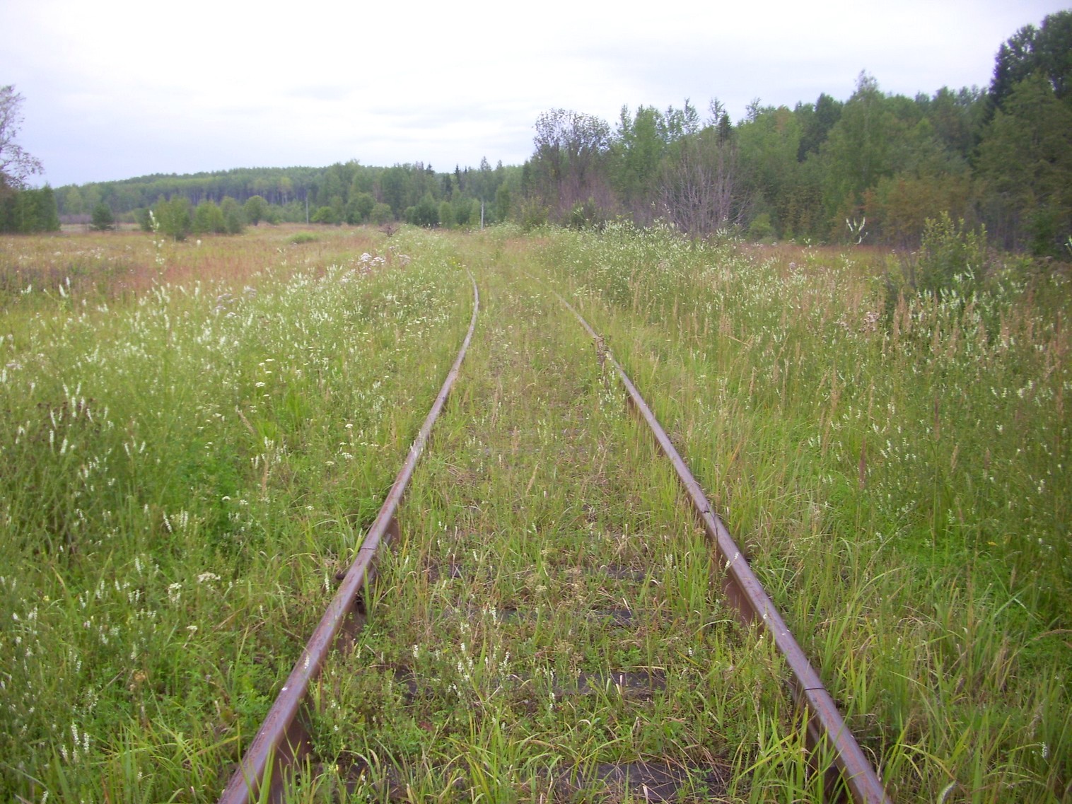 Шортюгская железная дорога
  —  фотографии, сделанные в 2012 году (часть 17)