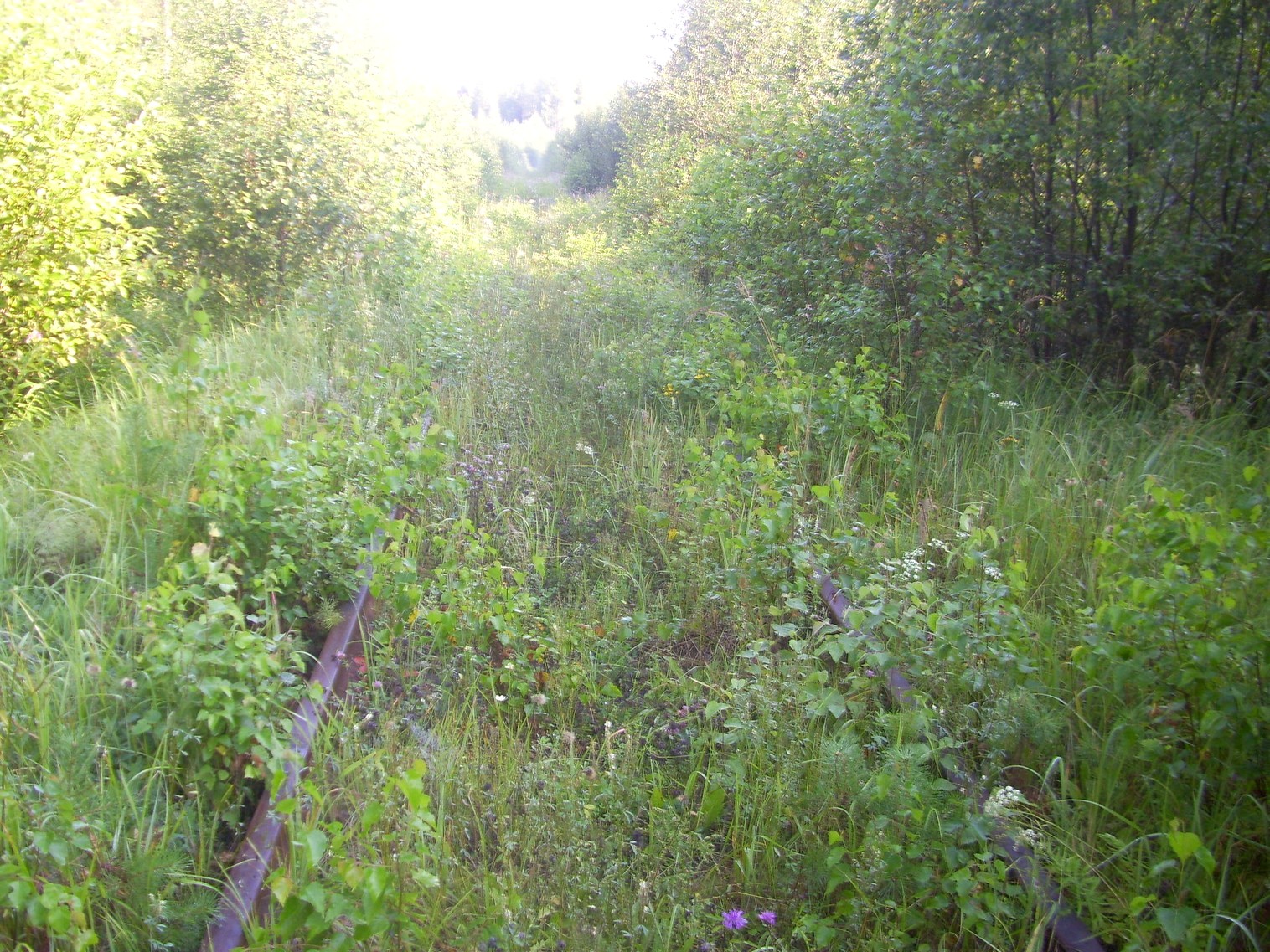 Шортюгская железная дорога
  —  фотографии, сделанные в 2012 году (часть 22)