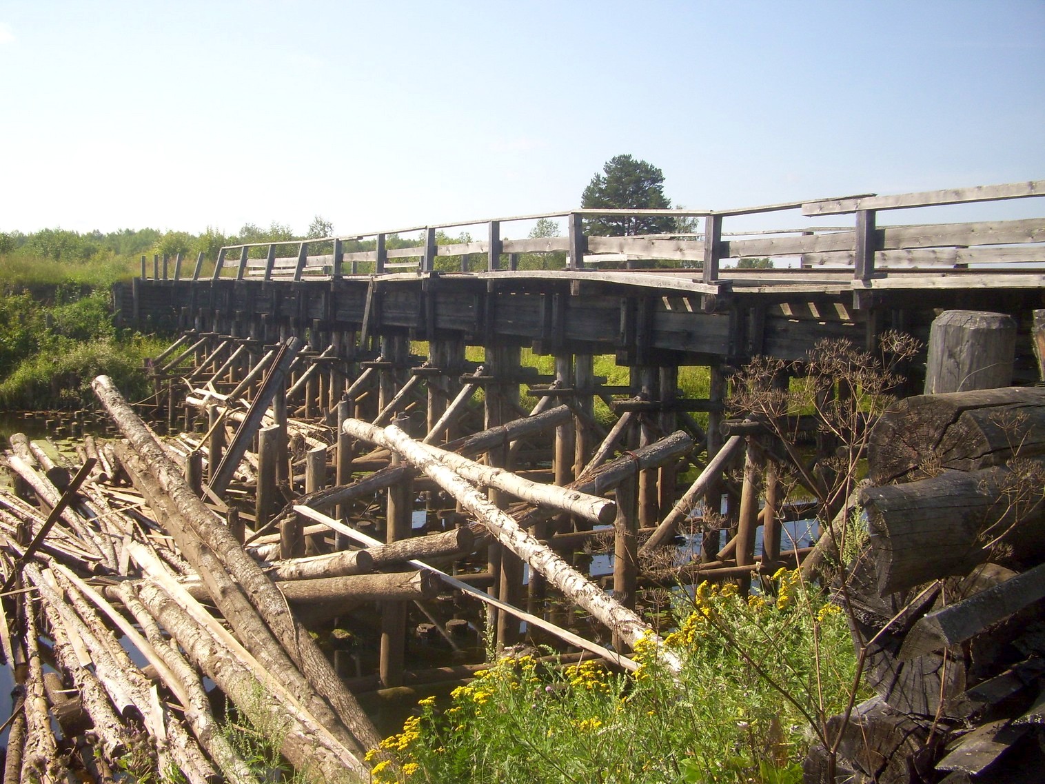 Шортюгская железная дорога
  —  фотографии, сделанные в 2012 году (часть 26)