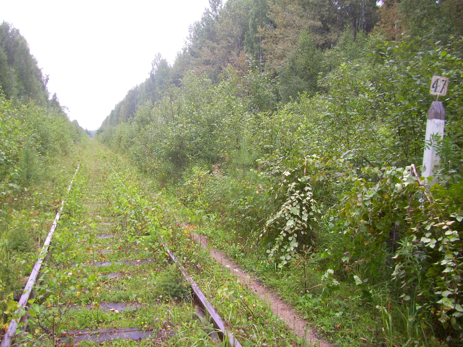 Шортюгская железная дорога
  —  фотографии, сделанные в 2012 году (часть 4)