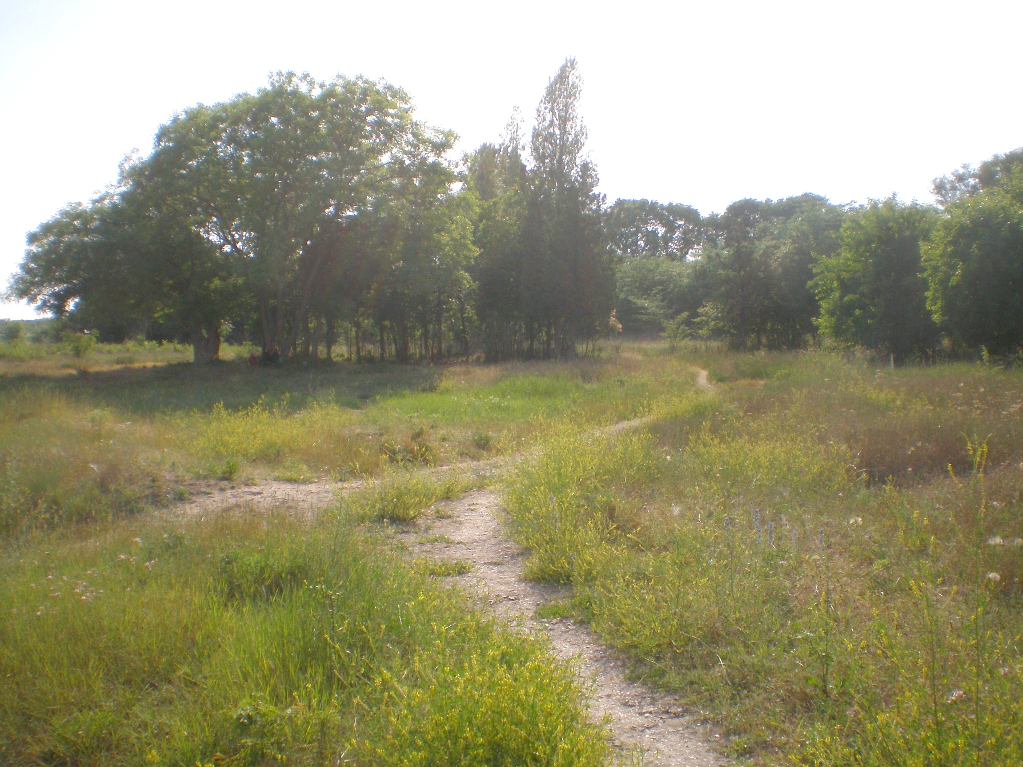 Евпаторийская детская железная дорога  
  —  фотографии, сделанные в 2009 году