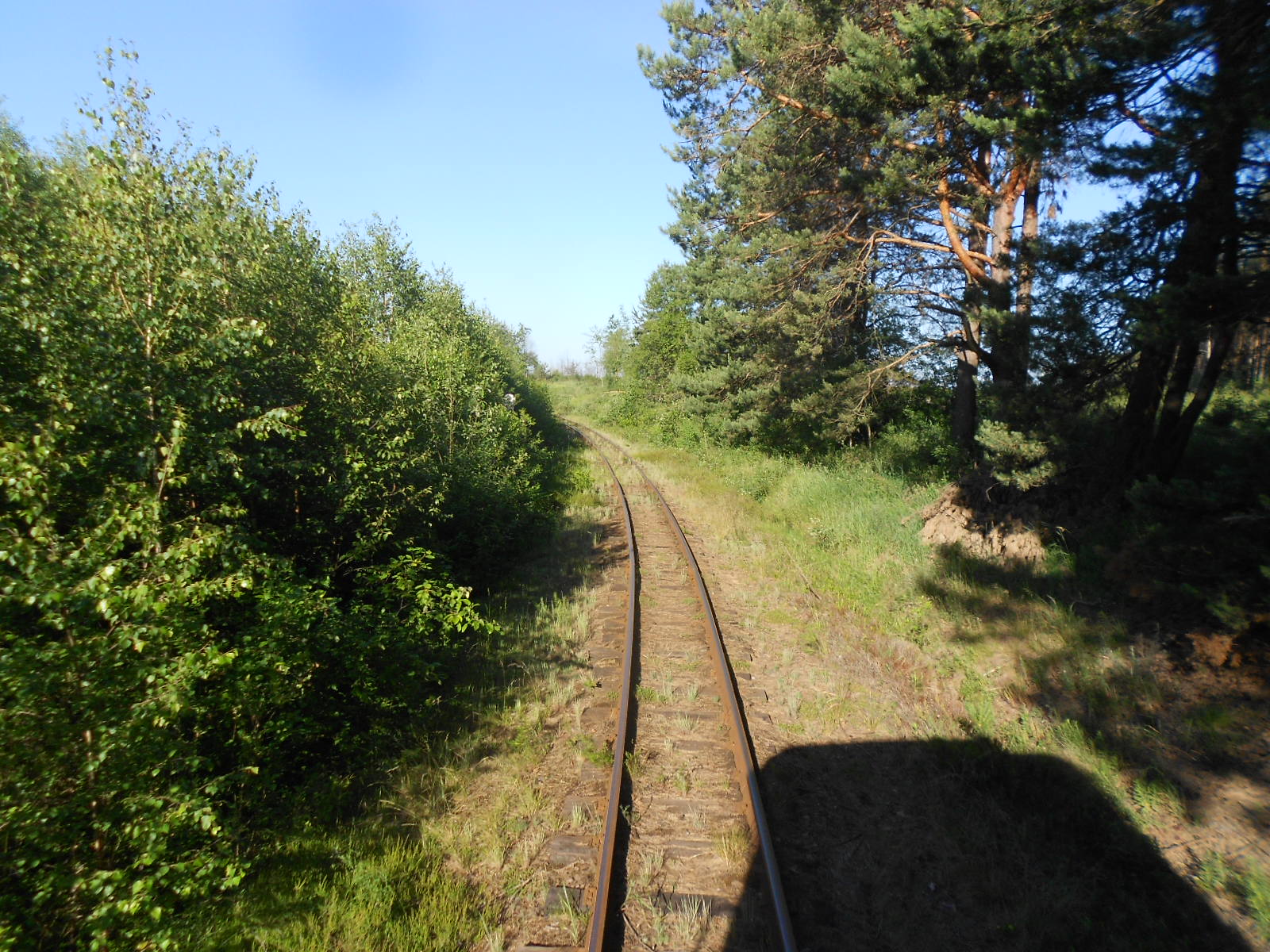 Узкоколейная железная дорога Антоновка — Заречное — фотографии, сделанные в 2016 году (часть 5)