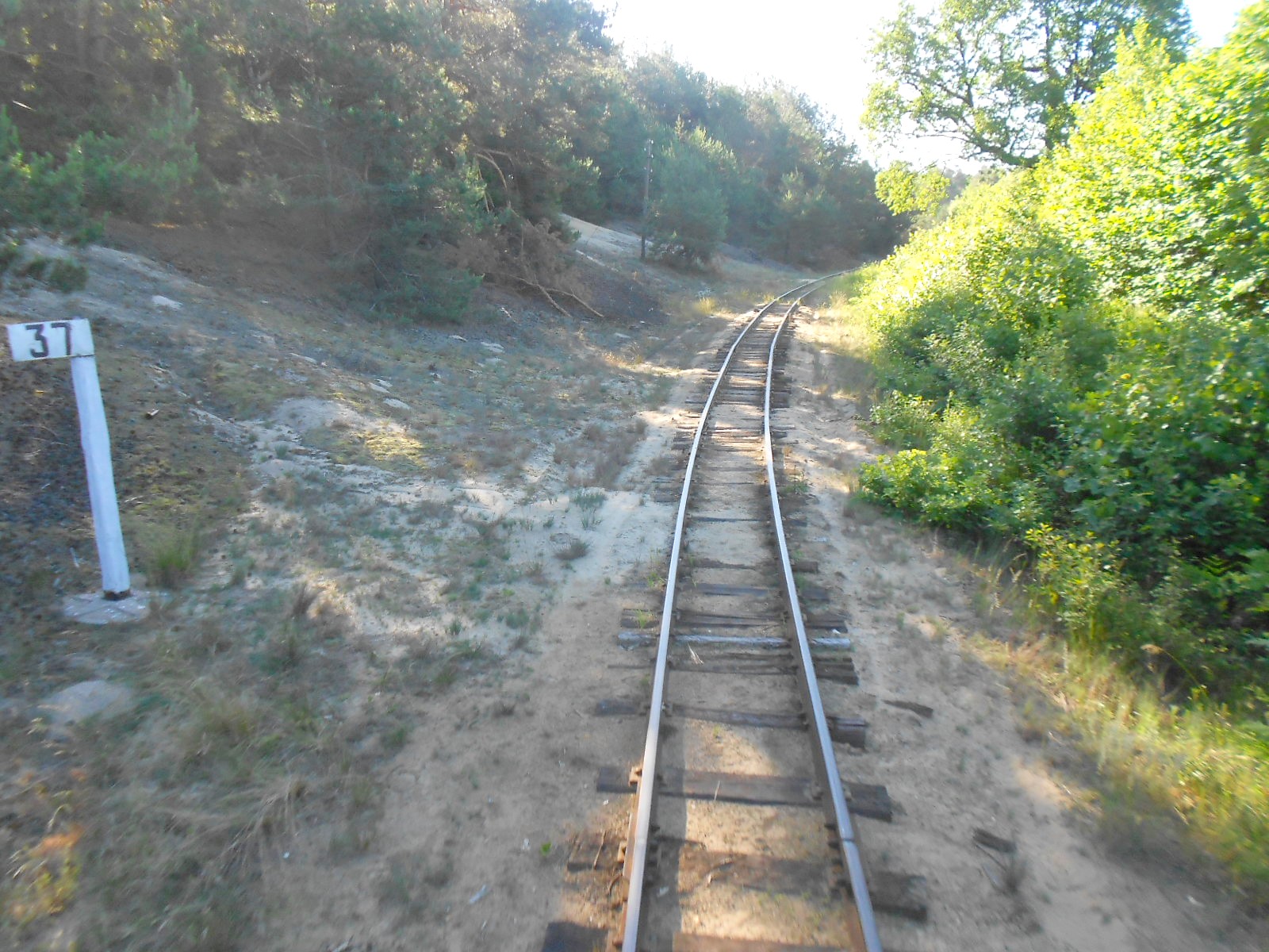 Узкоколейная железная дорога Антоновка — Заречное — фотографии, сделанные в 2016 году (часть 7)
