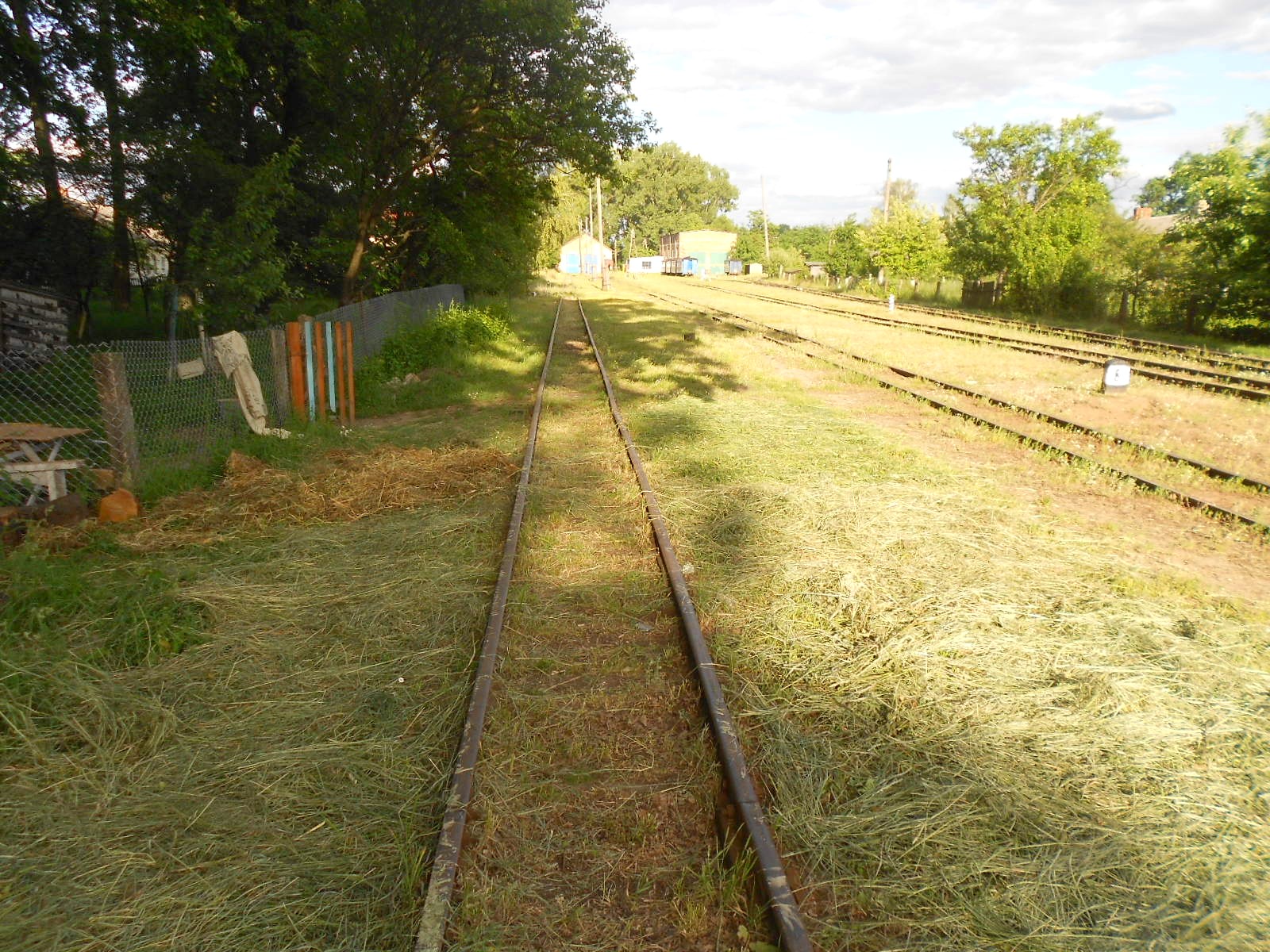 Узкоколейная железная дорога Антоновка — Заречное — фотографии, сделанные в 2016 году (часть 15)