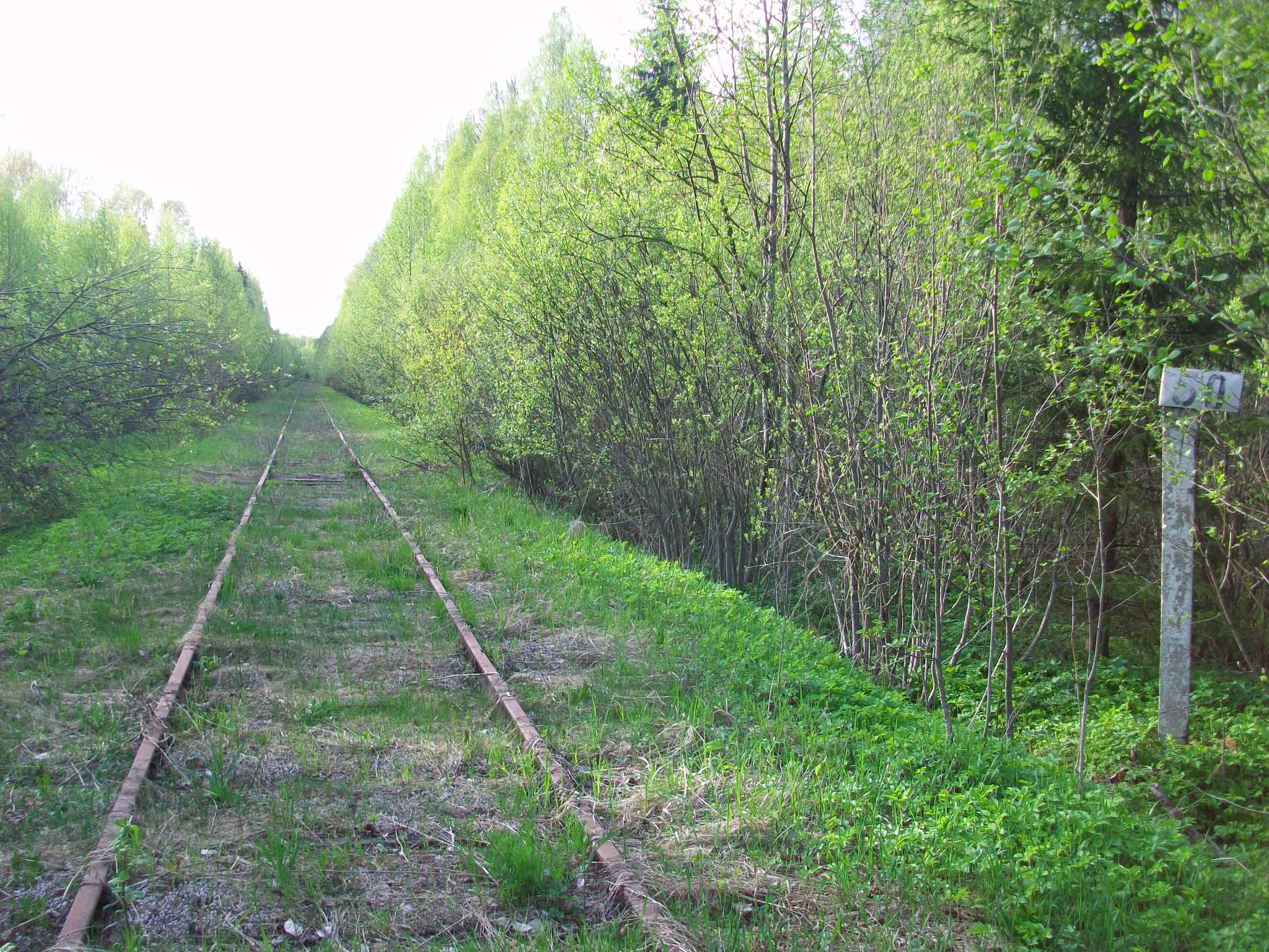 Железнодорожная линия Валдай — Крестцы 
  —  фотографии, сделанные в 2015 году (часть 52)