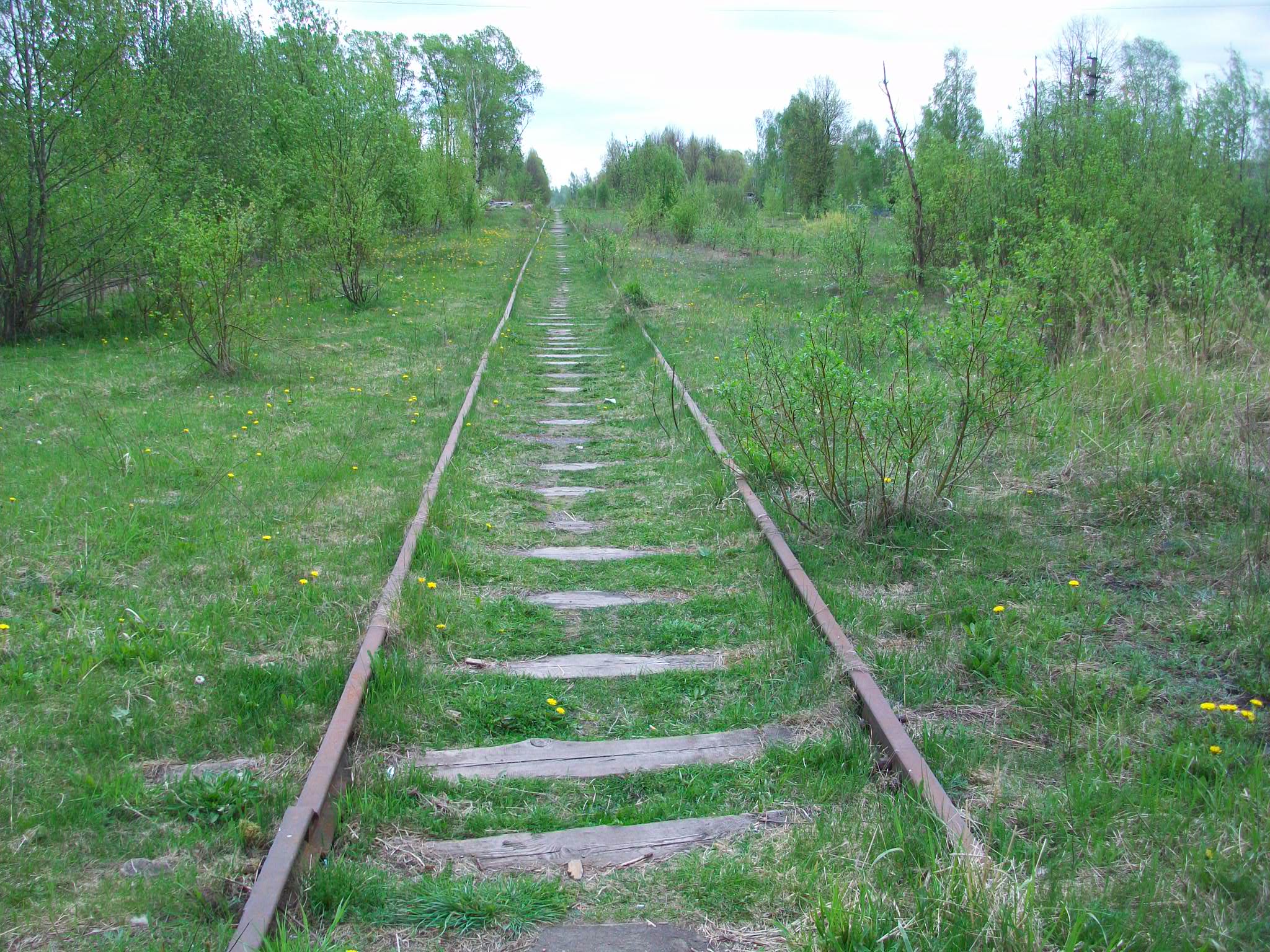 Железнодорожная линия Валдай — Крестцы 
  —  фотографии, сделанные в 2015 году (часть 63)