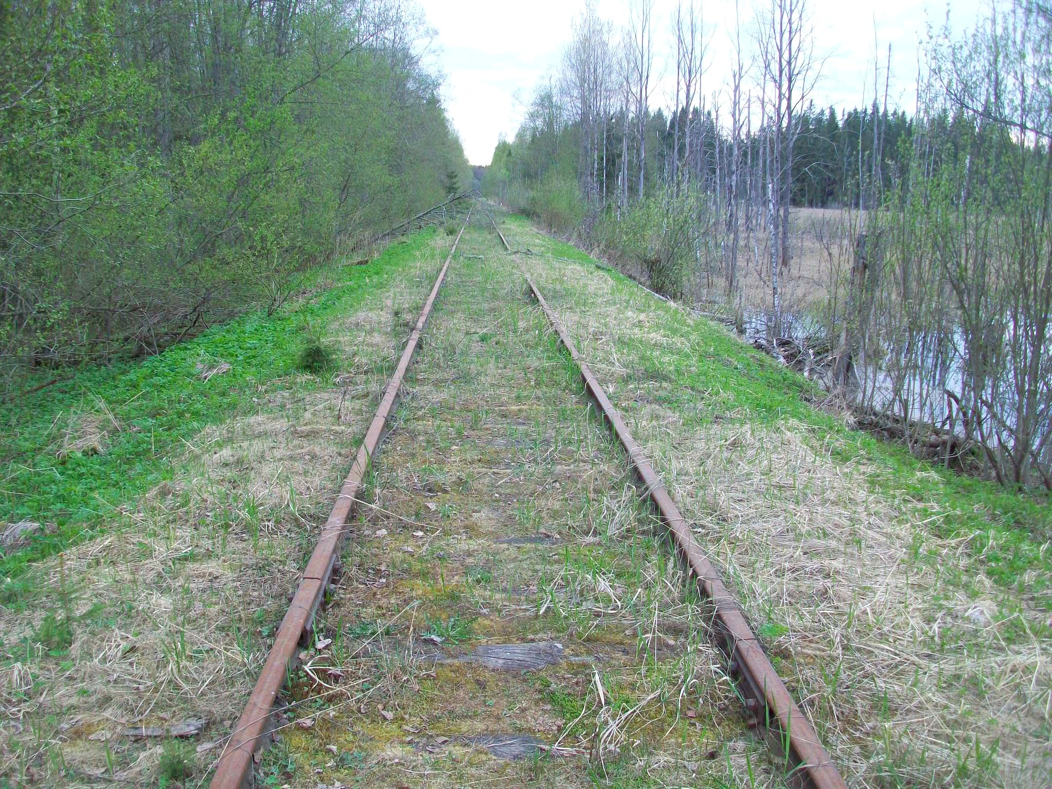 Железнодорожная линия Валдай — Крестцы 
  —  фотографии, сделанные в 2015 году (часть 11)