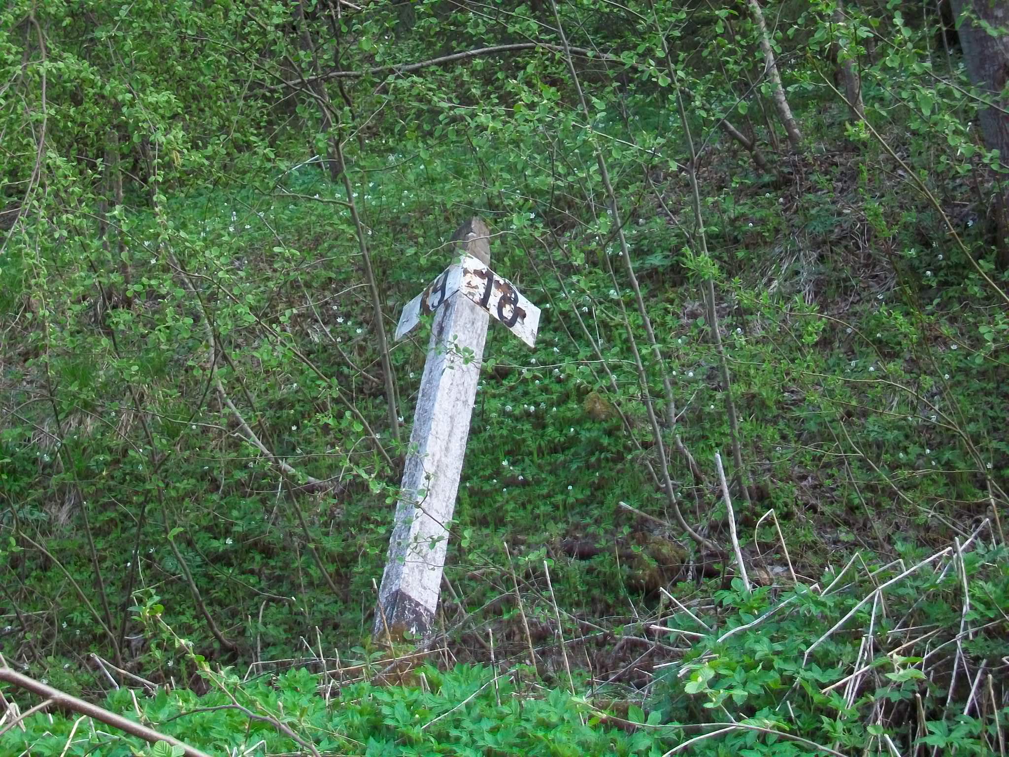 Железнодорожная линия Валдай — Крестцы 
  —  фотографии, сделанные в 2015 году (часть 20)