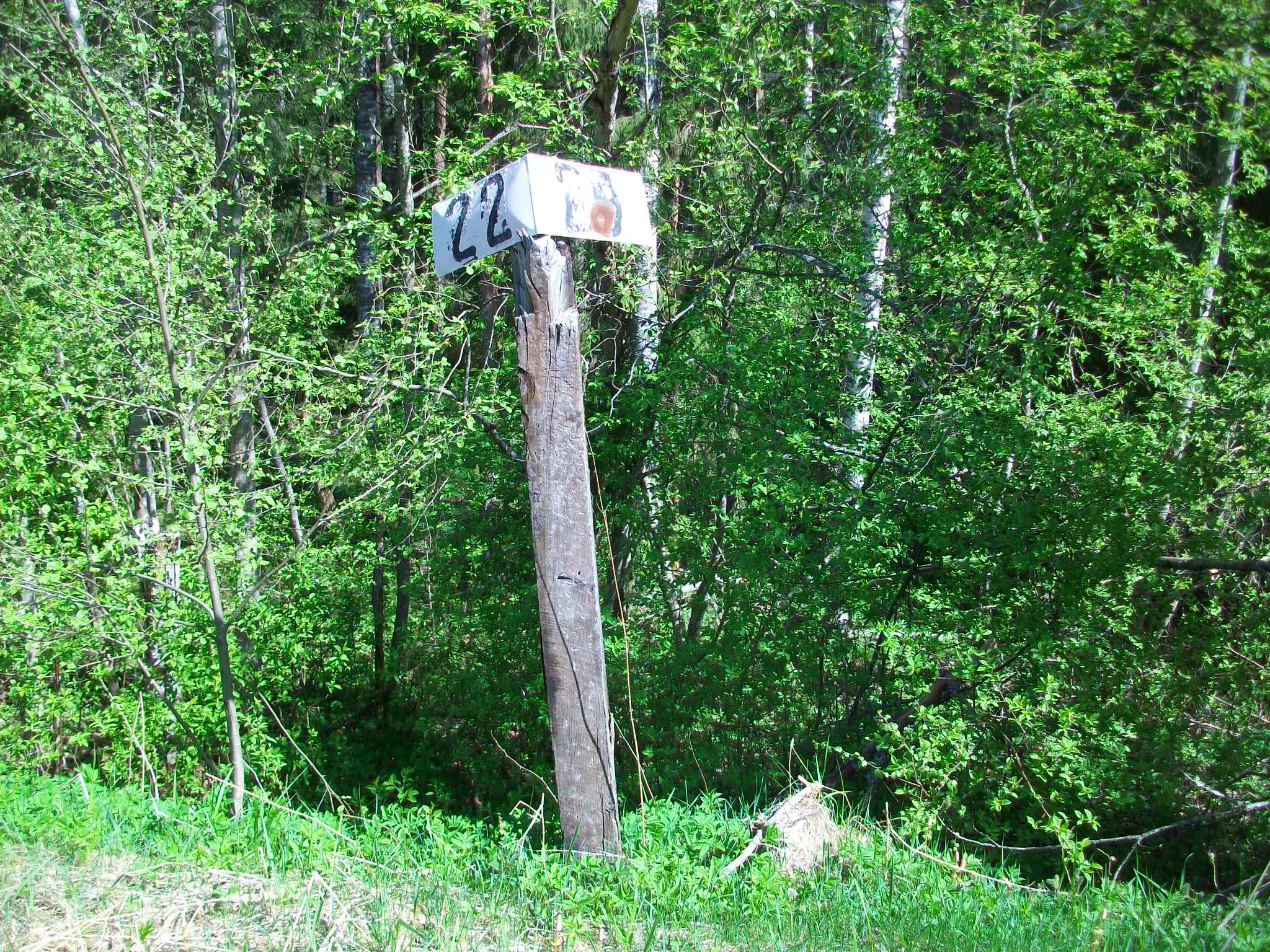 Железнодорожная линия Валдай — Крестцы 
  —  фотографии, сделанные в 2015 году (часть 23)