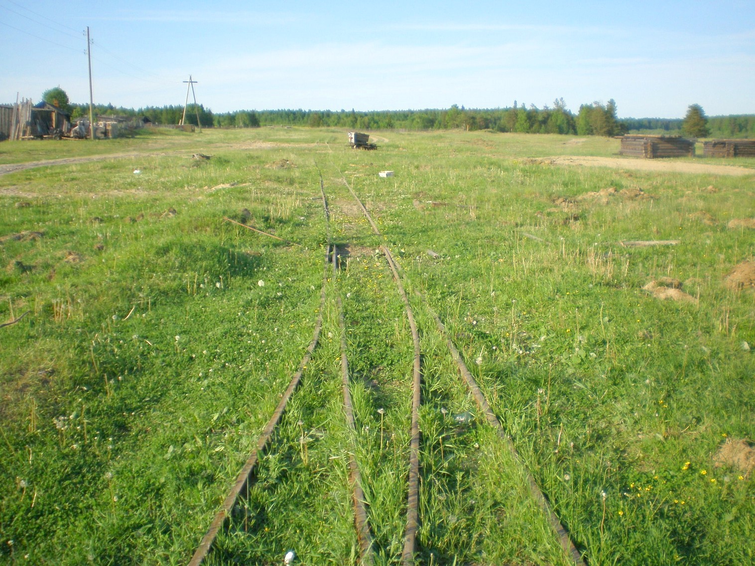 Пезмогская узкоколейная железная дорога  —  фотографии, сделанные в 2008 году (часть 3)