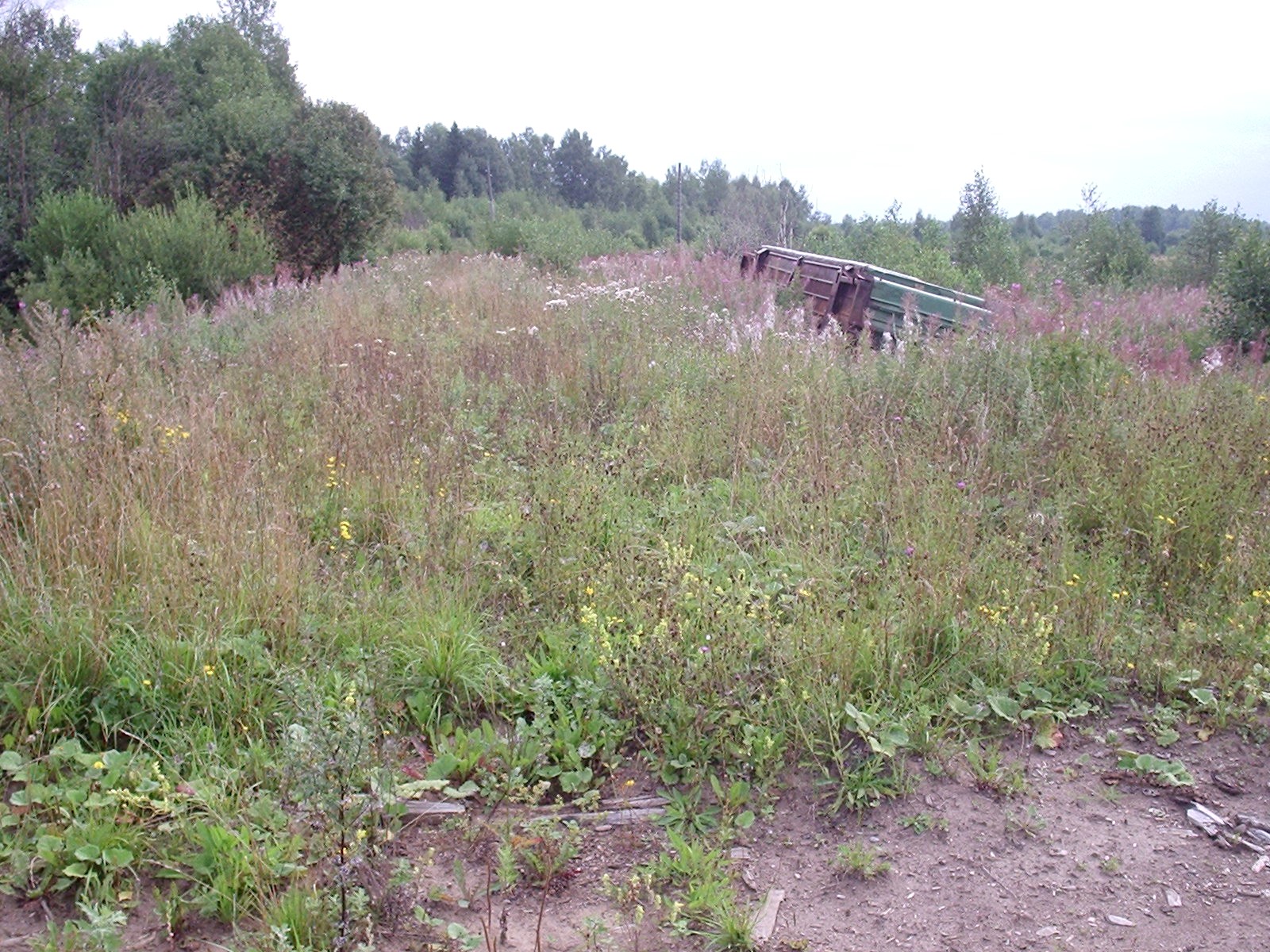 Введенская узкоколейная железная дорога — фотографии, сделанные в 2005 году