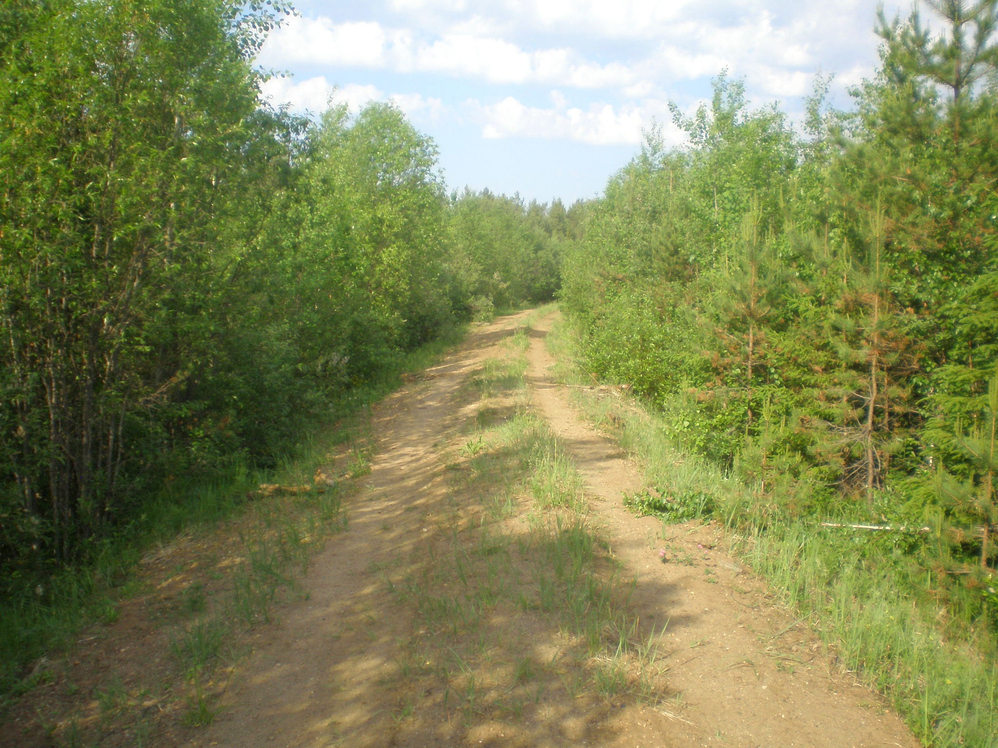 Усть-Немская узкоколейная железная дорога  —  фотографии, сделанные в 2008 году (часть 1)