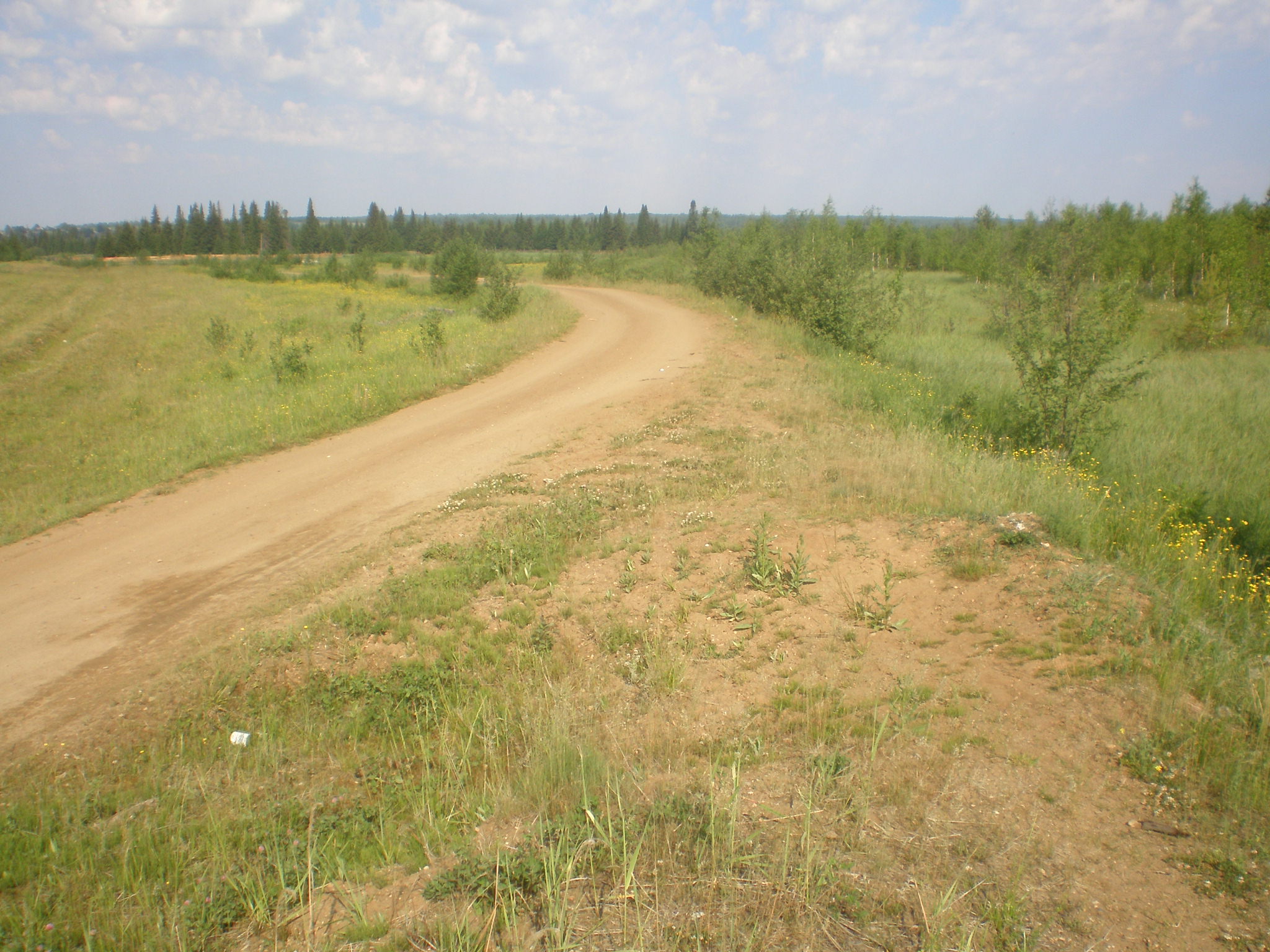 Усть-Немская узкоколейная железная дорога  —  фотографии, сделанные в 2008 году (часть 2)
