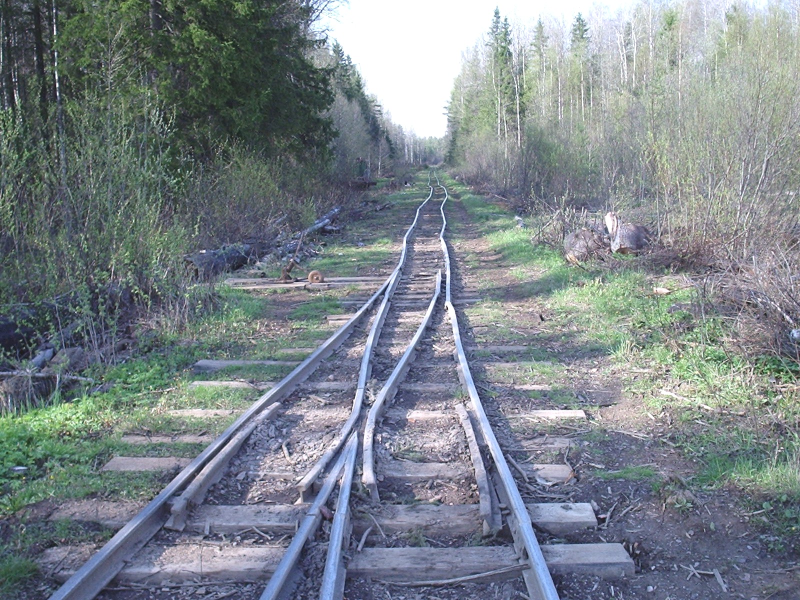 Кургальская узкоколейная железная дорога — фотографии, сделанные в 2005 году (часть 6)