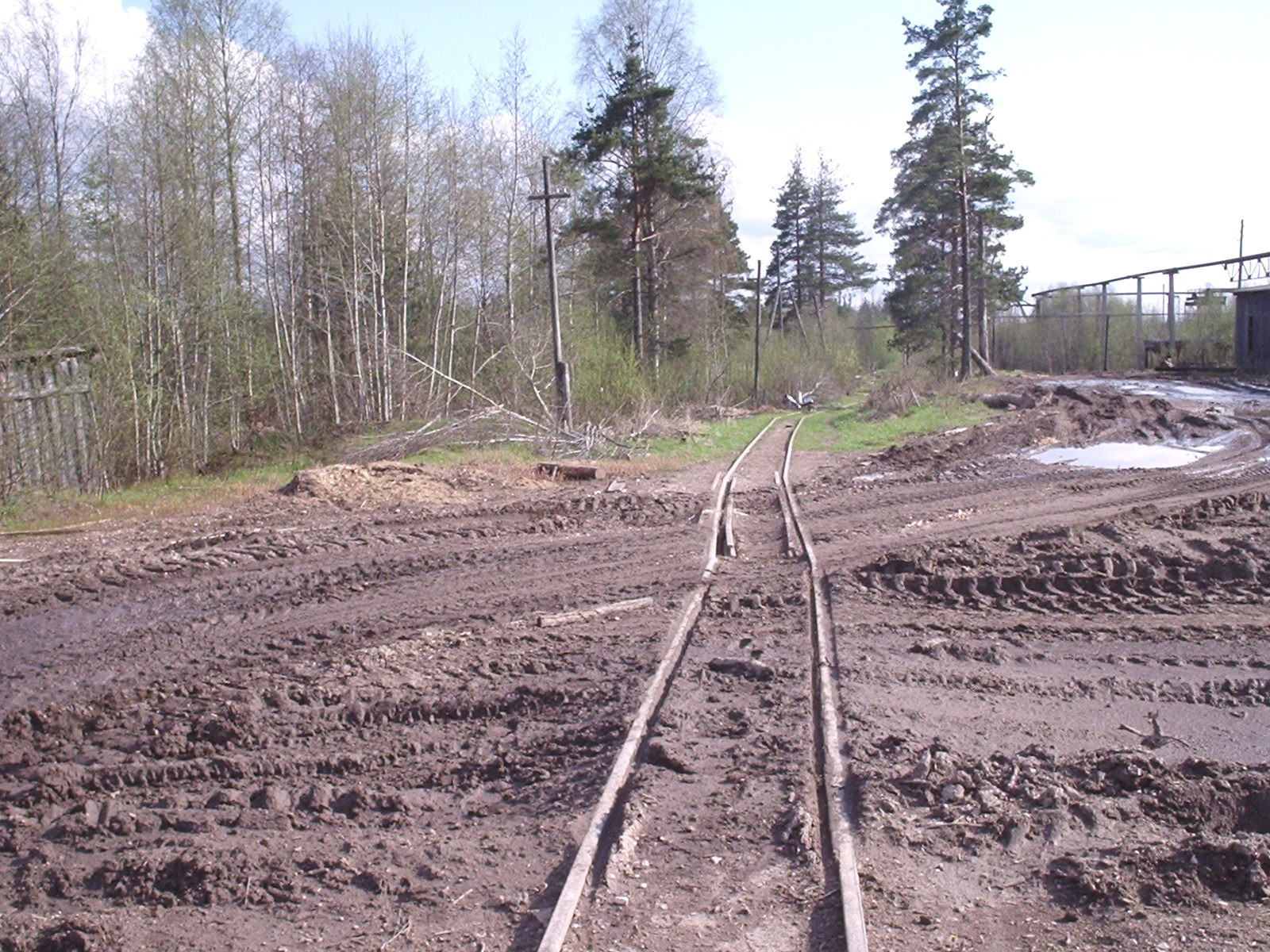 Кургальская узкоколейная железная дорога — фотографии, сделанные в 2005 году (часть 5)