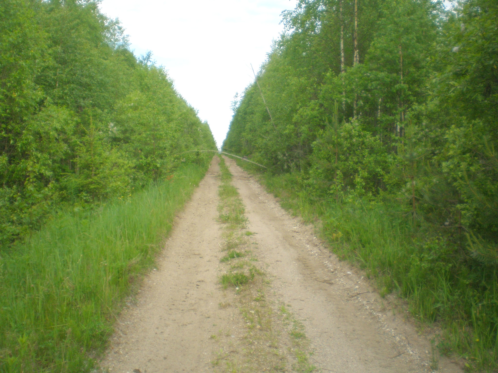 Мехреньгская железная дорога  —  фотографии, сделанные в 2009 году (часть 6)