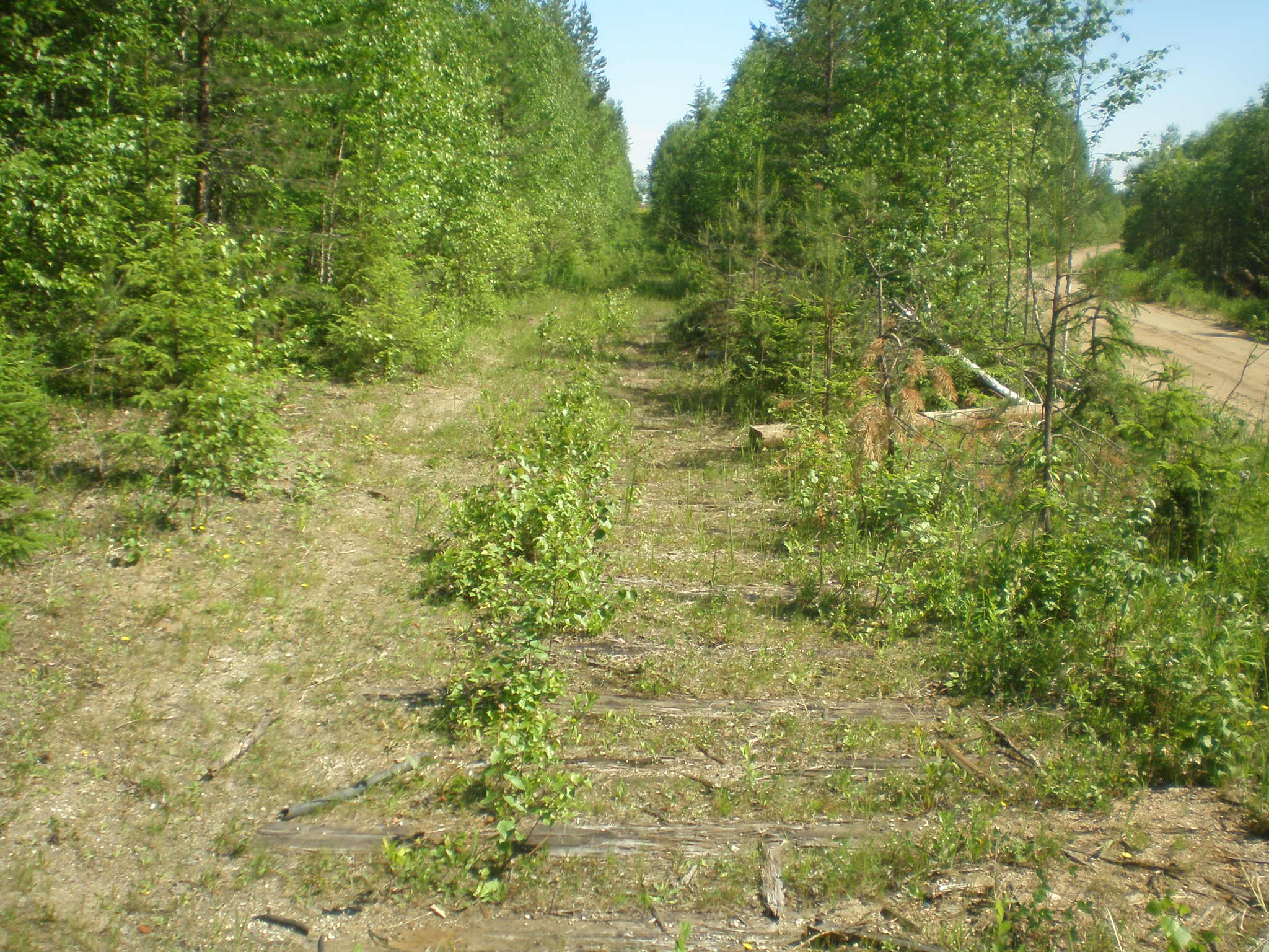Мехреньгская железная дорога  —  фотографии, сделанные в 2009 году (часть 8)