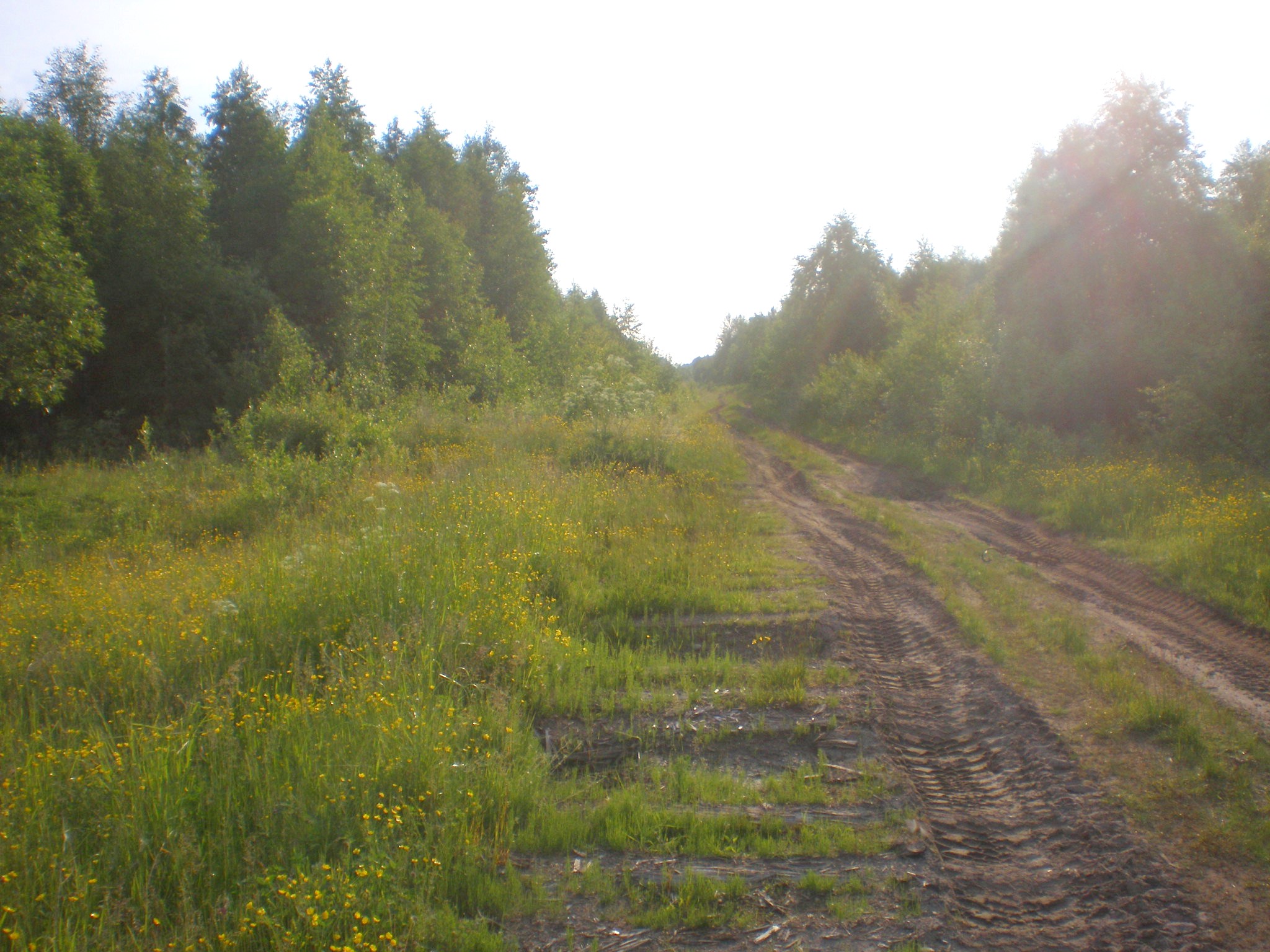 Мехреньгская железная дорога  —  фотографии, сделанные в 2009 году (часть 10)