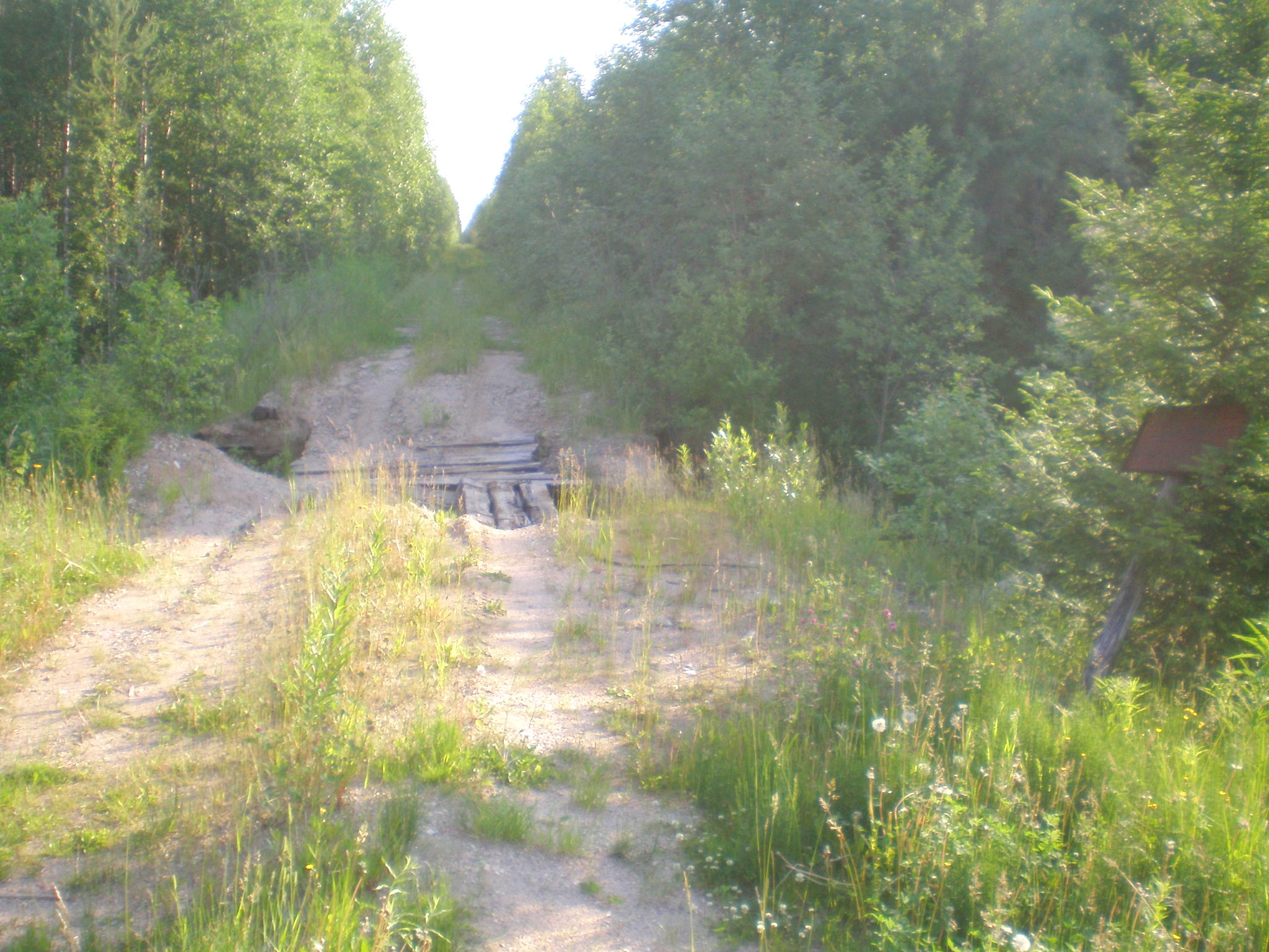 Мехреньгская железная дорога  —  фотографии, сделанные в 2009 году (часть 11)