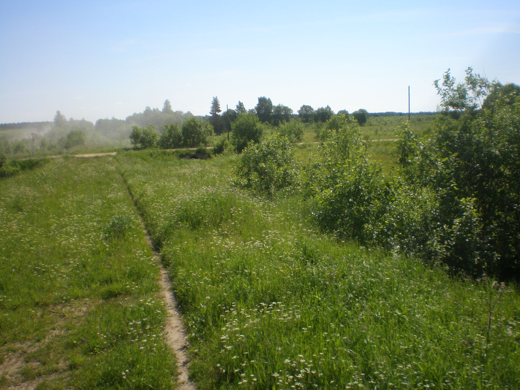 Мехреньгская железная дорога  —  фотографии, сделанные в 2009 году (часть 2)