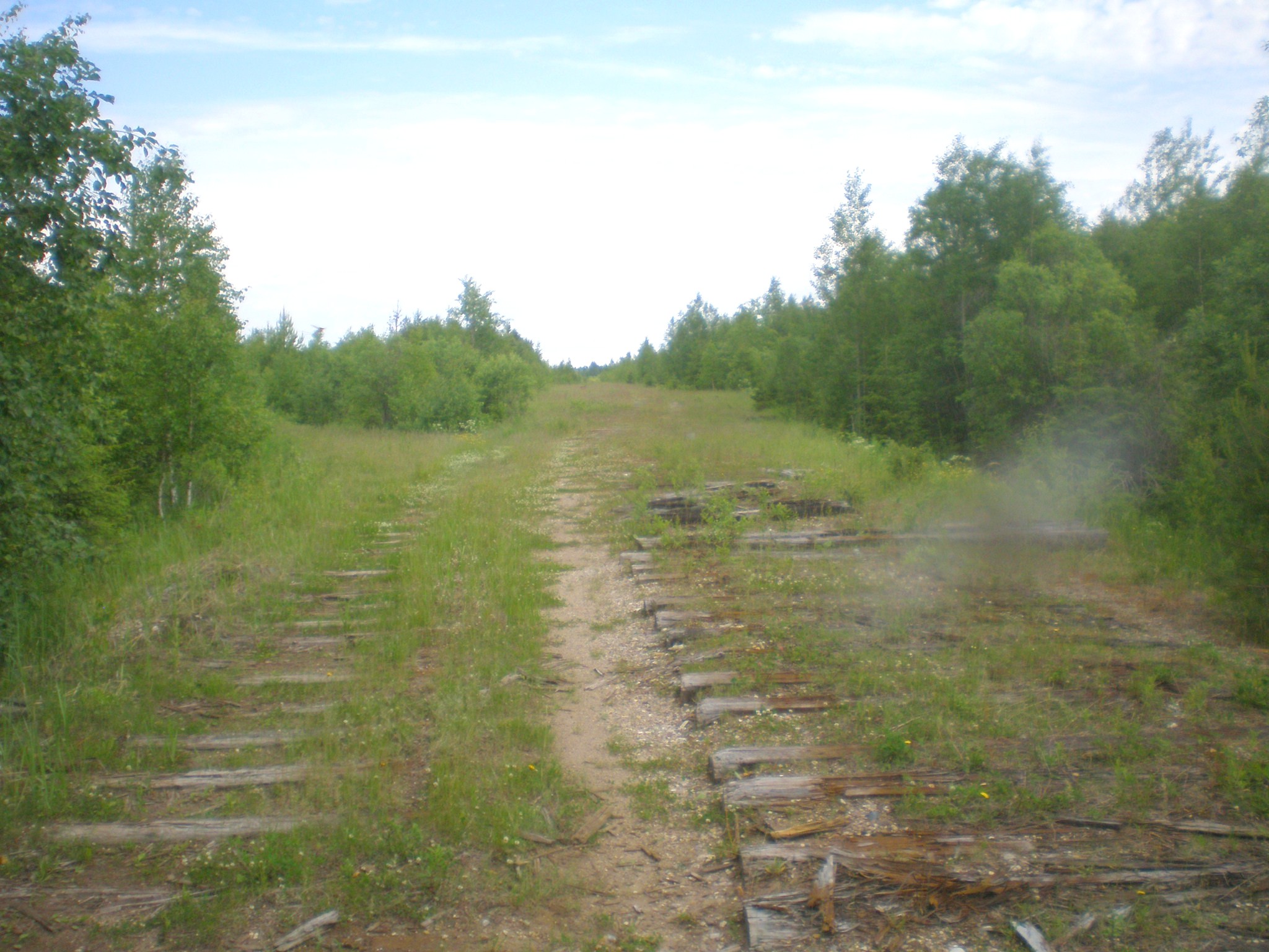 Мехреньгская железная дорога  —  фотографии, сделанные в 2009 году (часть 13)
