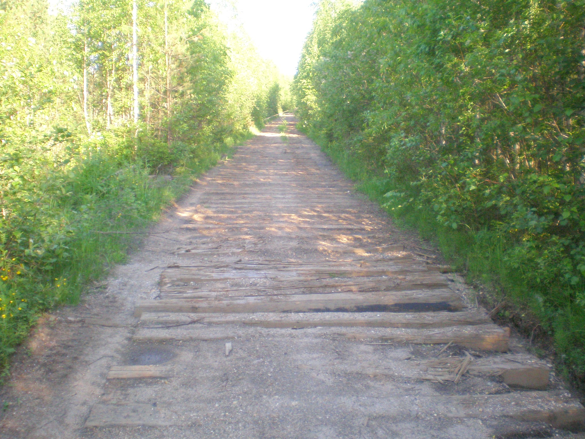 Мехреньгская железная дорога  —  фотографии, сделанные в 2009 году (часть 5)