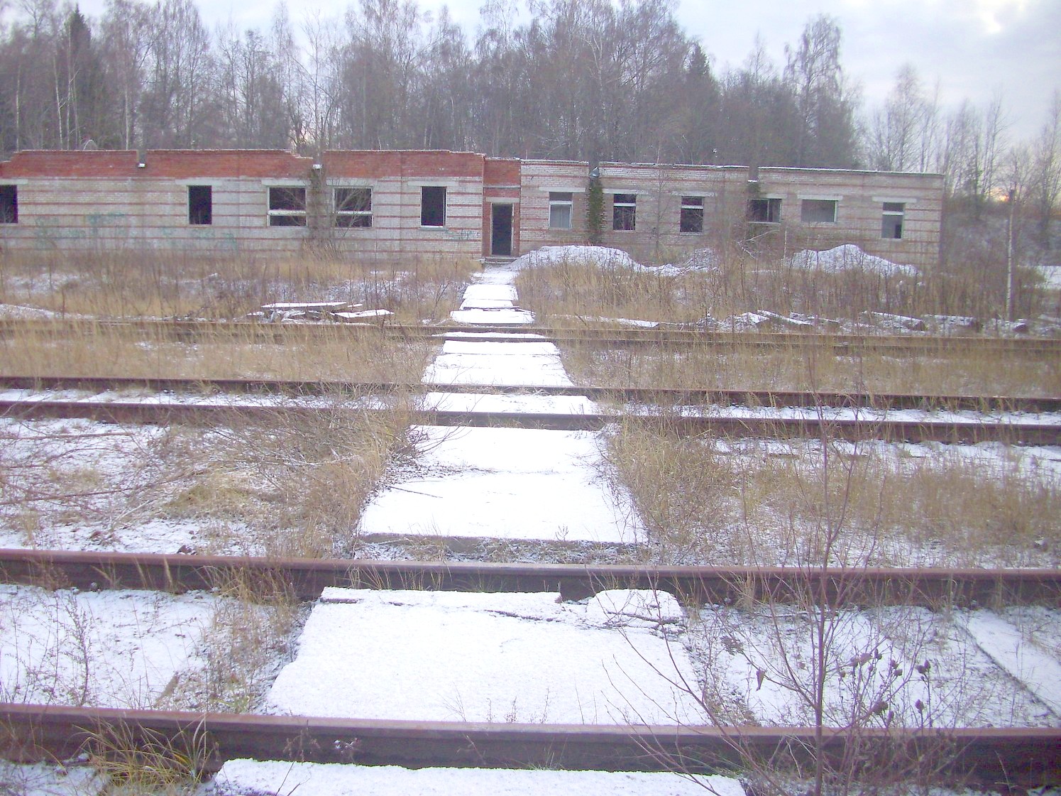 Железнодорожная линия Тучково — Морево — Орешкинский комбинат  —  фотографии, сделанные в 2011 году (часть 11)