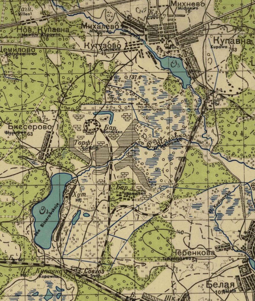 Железнодорожная линия Купавна — Старая Купавна  — схемы и   топографические карты