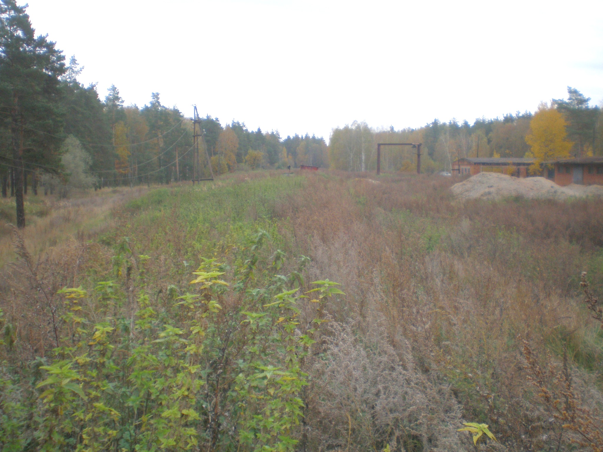 Узкоколейная железная дорога торфопредприятия «Каданок» — фотографии, сделанные в 2008 году  (часть 2)