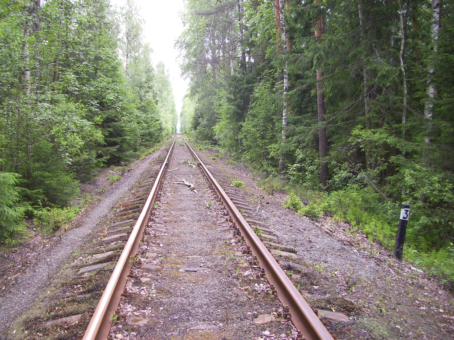 Железнодорожная линия Кривандино  —  Рязановка  —  фотографии, сделанные в 2010 году (часть 16)