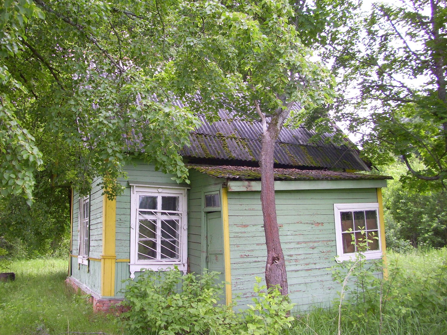 Железнодорожная линия Кривандино  —  Рязановка  —  фотографии, сделанные в 2010 году (часть 23)