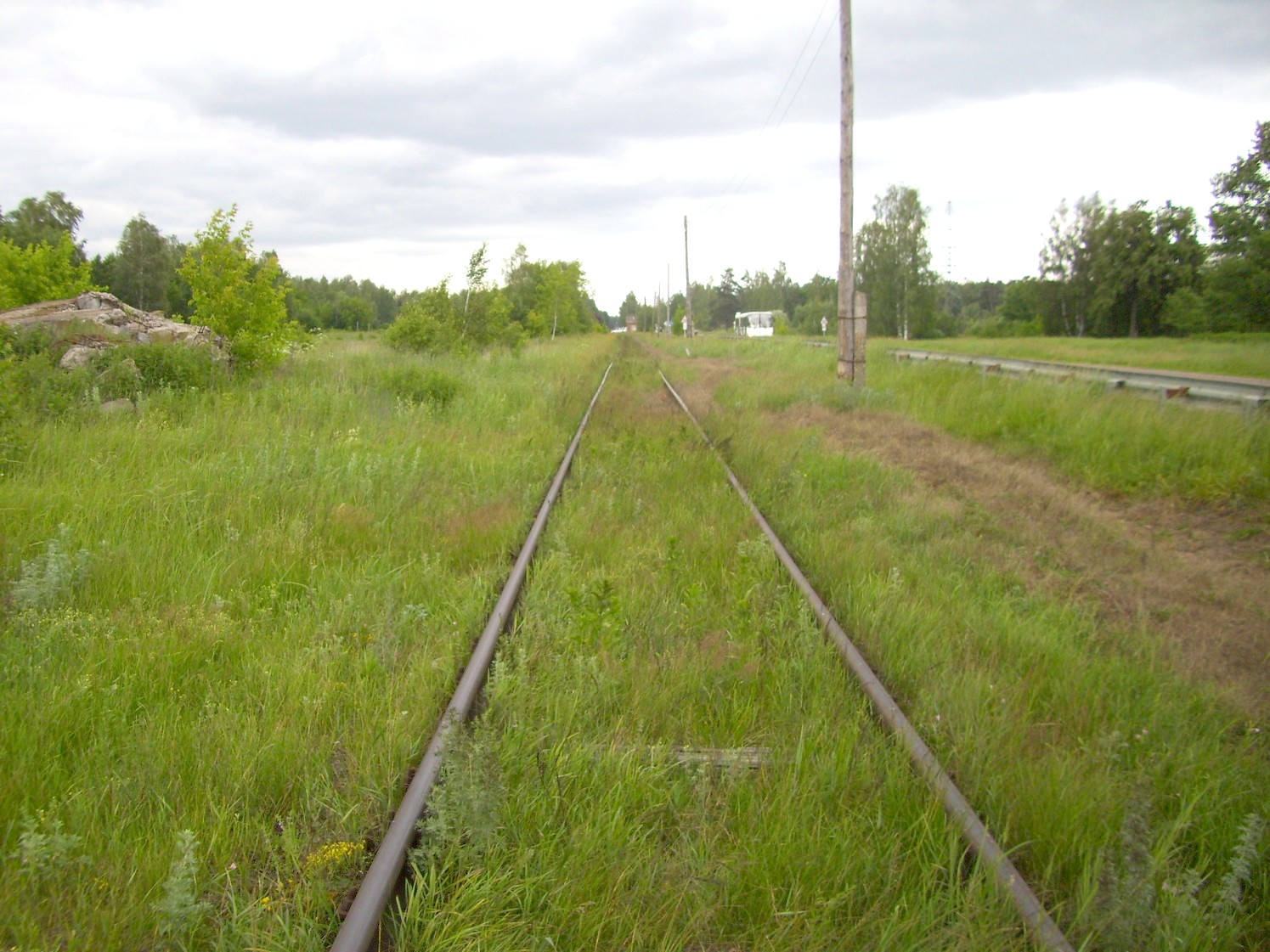 Железнодорожная линия Кривандино  —  Рязановка  —  фотографии, сделанные в 2010 году (часть 30)