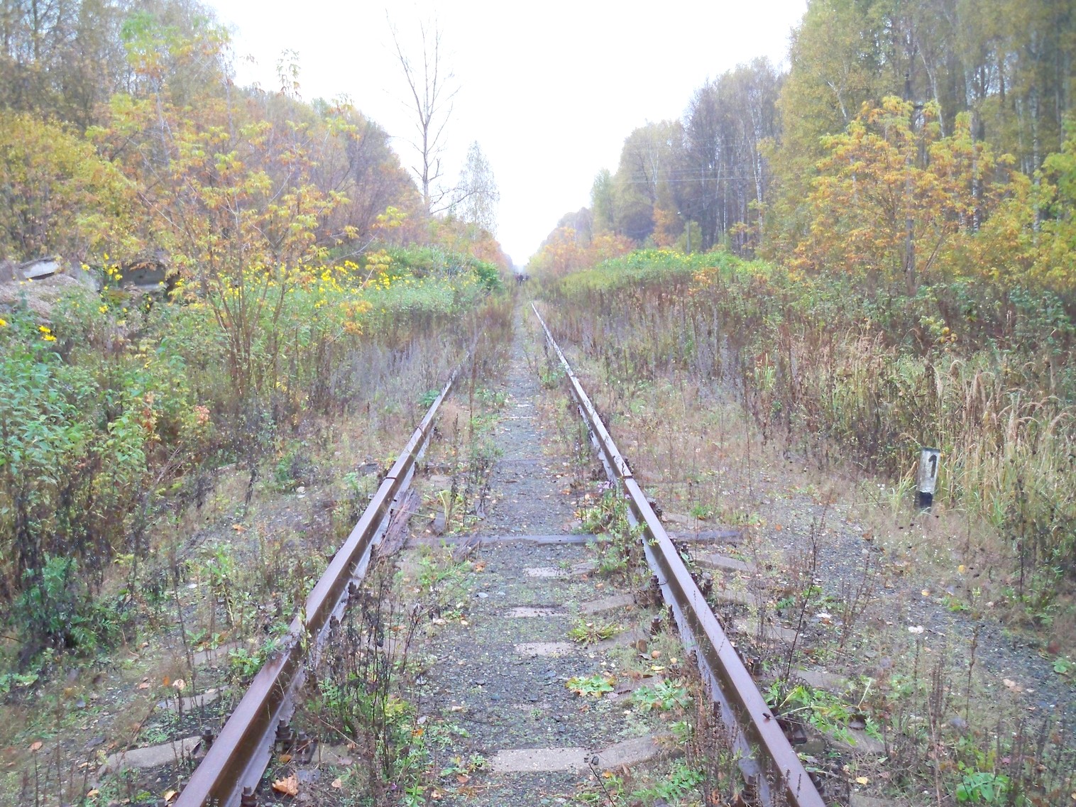 Железнодорожная линия Сазоново — Пилево — фотографии, сделанные в 2012 году (часть 1)