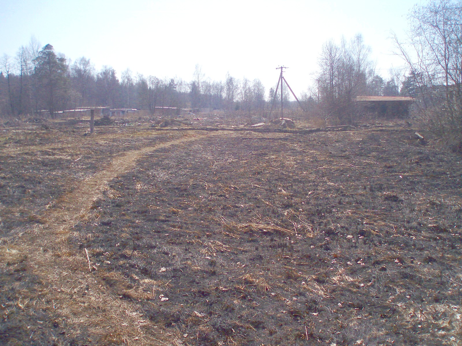 Узкоколейная железная дорога Алфёровского торфопредприятия — фотографии, сделанные в 2007 году (часть 1)