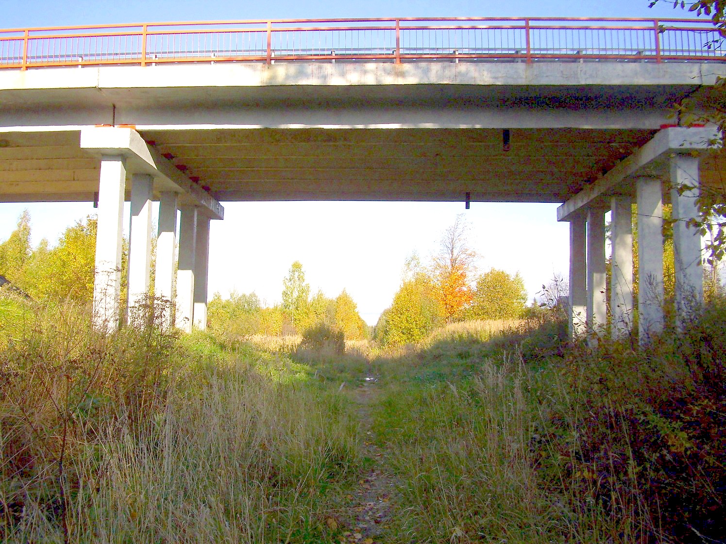 Железнодорожная линия Клин — Высоковск
  —  фотографии, сделанные в 2009 году (часть 12)