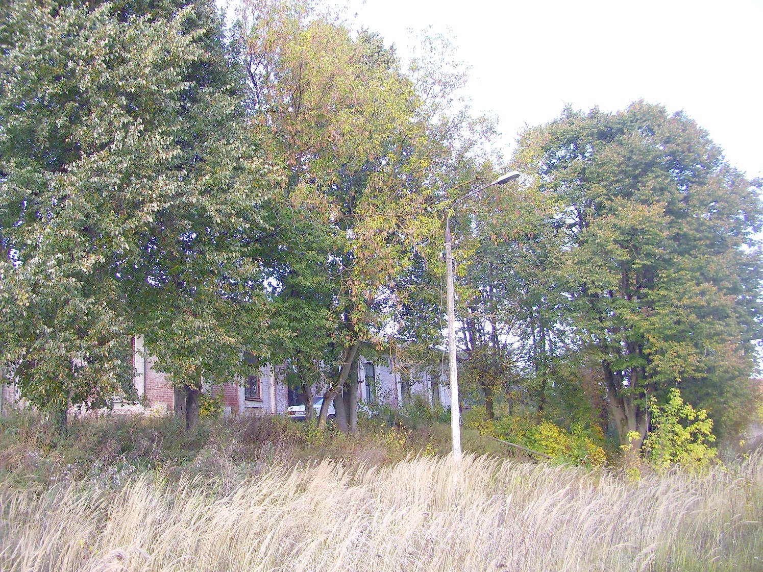 Железнодорожная линия Клин — Высоковск
  —  фотографии, сделанные в 2009 году (часть 15)