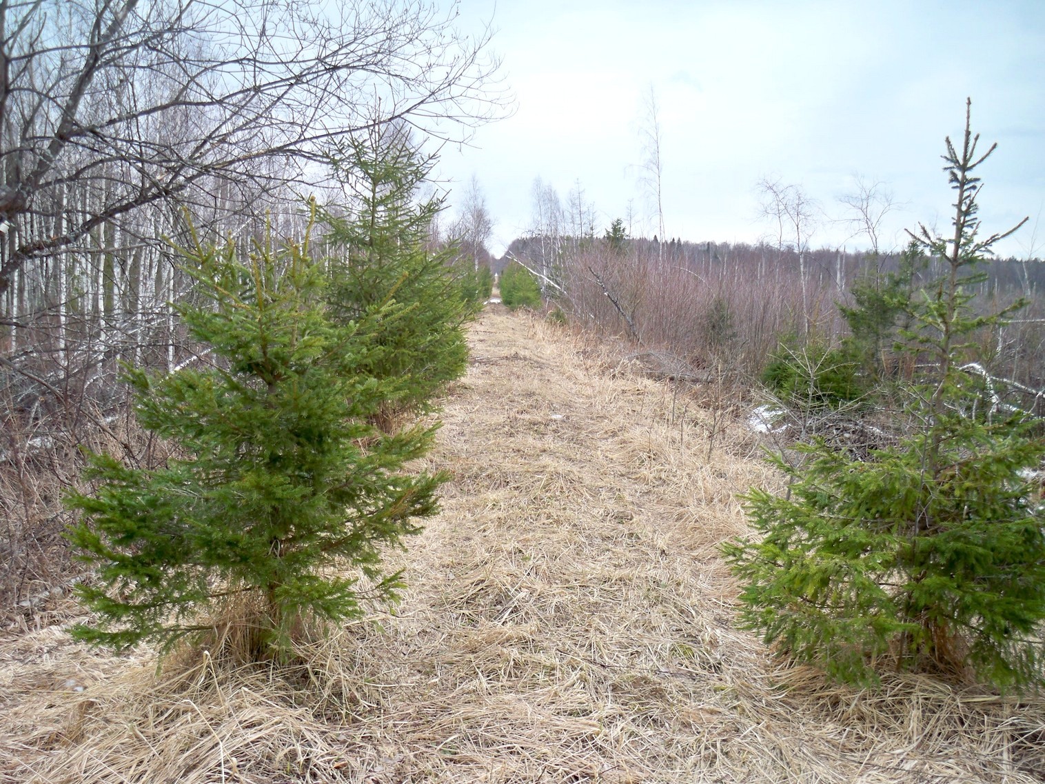 Узкоколейная железная дорога Купанского транспортного управления — фотографии, сделанные в 2013 году (часть 6)