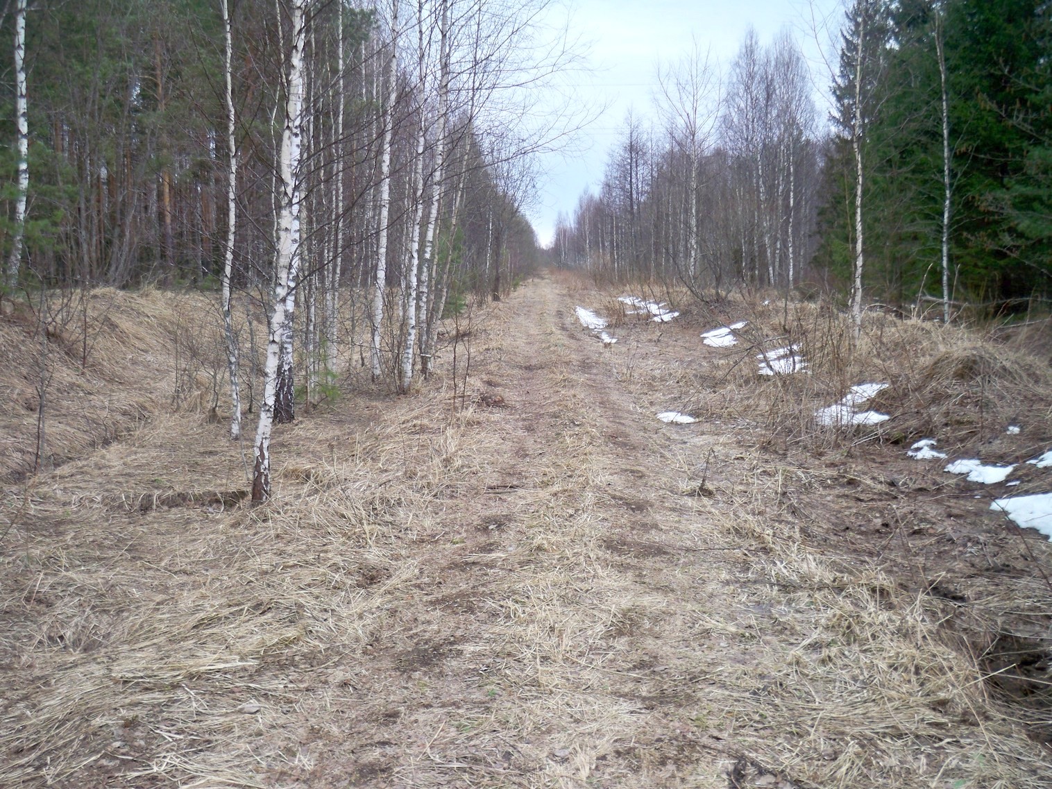 Узкоколейная железная дорога Купанского транспортного управления — фотографии, сделанные в 2013 году (часть 7)