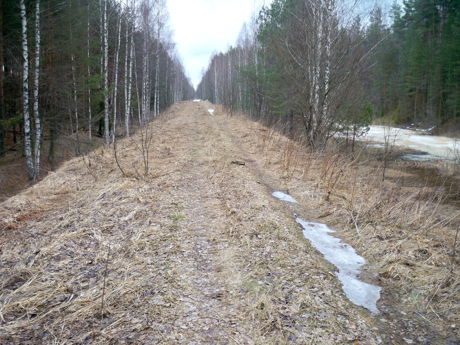 Узкоколейная железная дорога Купанского транспортного управления — фотографии, сделанные в 2013 году (часть 4)