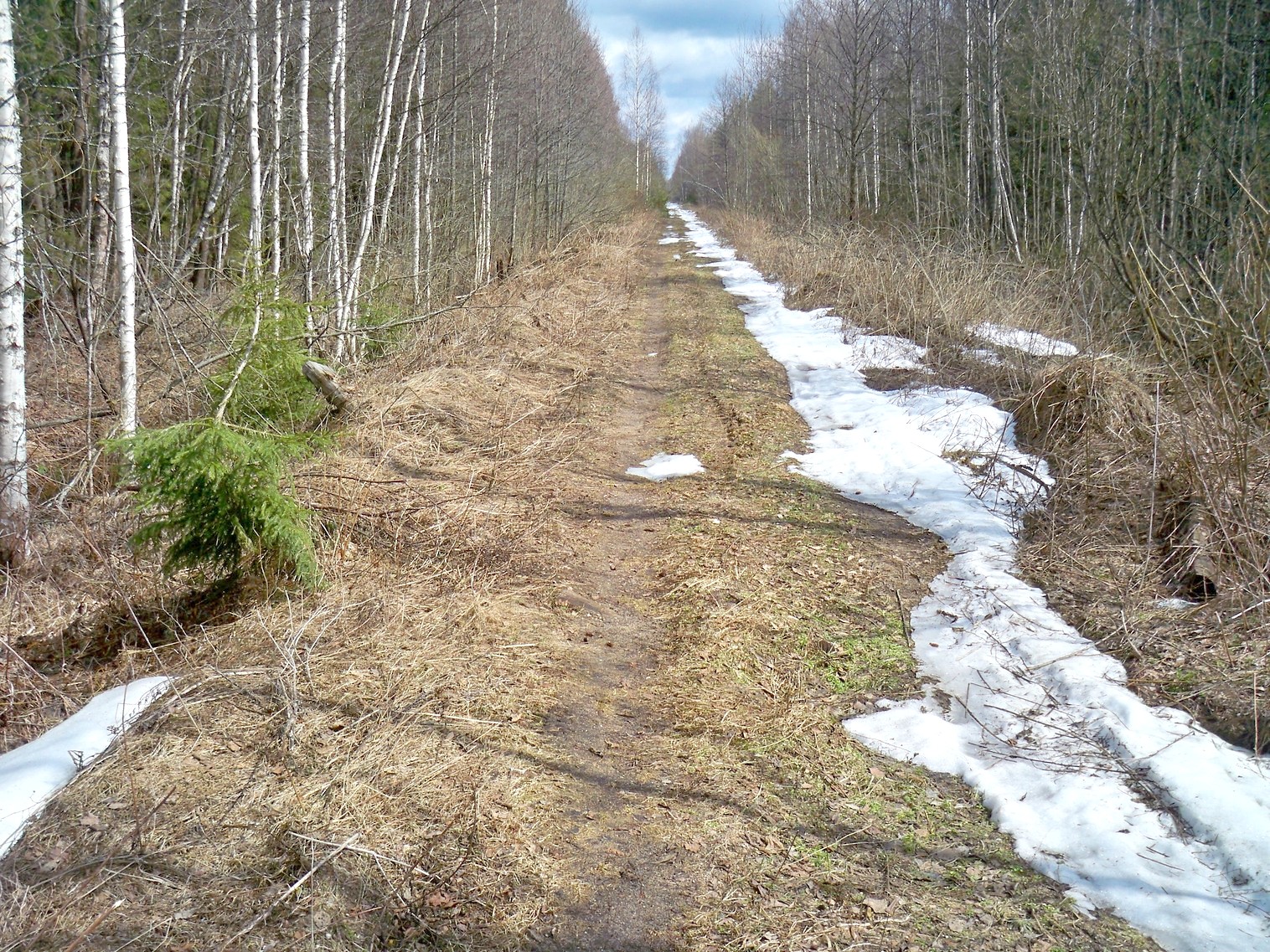 Узкоколейная железная дорога Купанского транспортного управления — фотографии, сделанные в 2013 году (часть 5)
