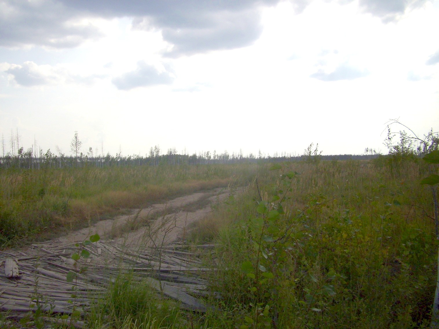 Рязанско-Владимирская узкоколейная железная дорога — фотографии, сделанные в 2011 году (часть 12)